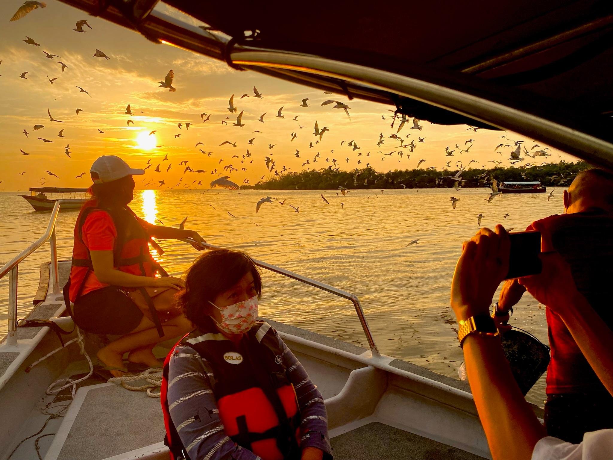 Kuala Selangor Night Safari: Eagles, Fireflies & Bioluminescent Waters