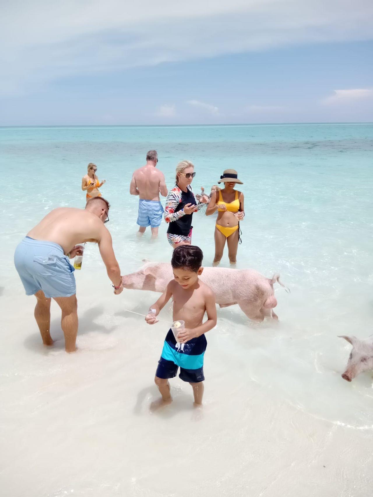 Nassau 3-Island Speedboat Adventure: Pigs, Turtles & Snorkeling