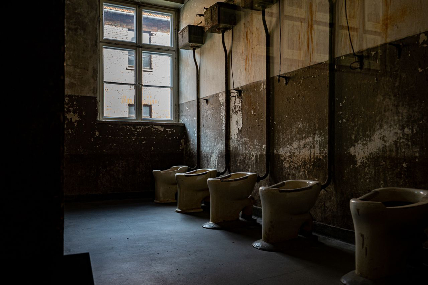 From Krakow: Auschwitz-Birkenau Full-Day Guided Tour - 2026 (Verified Reviews)