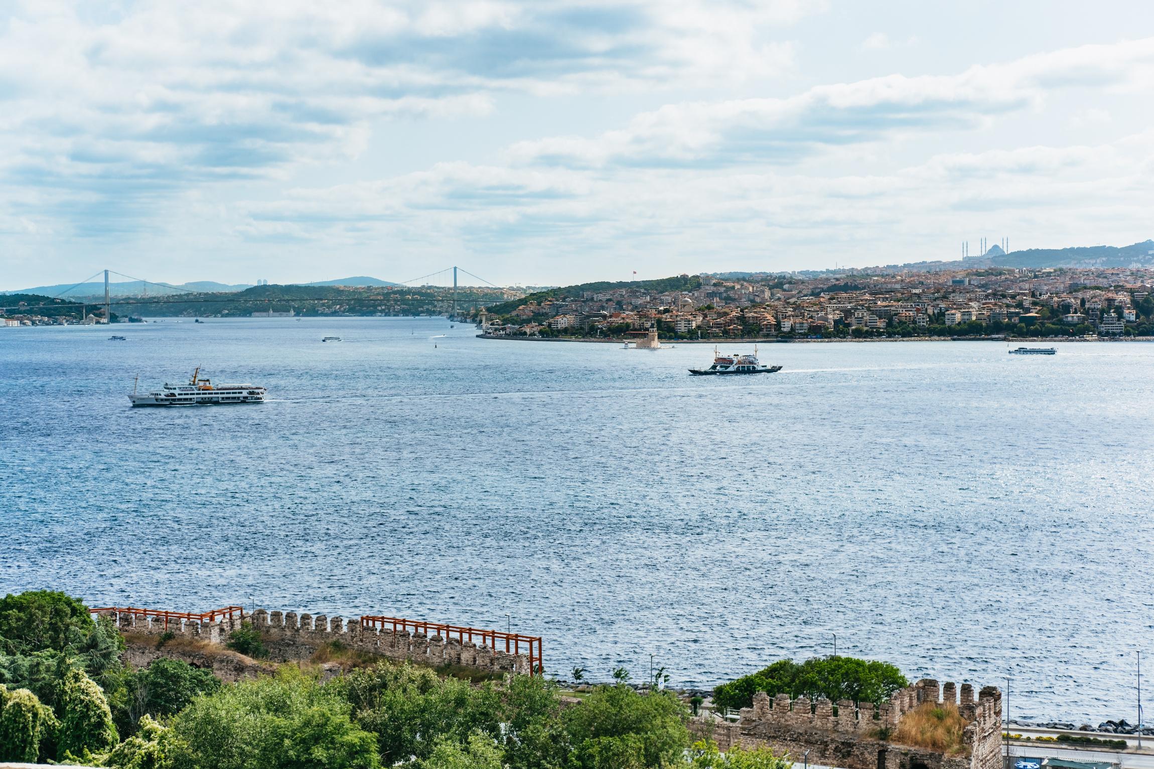 Istanbul: Guided Topkapi Palace & Harem Tour with Entry