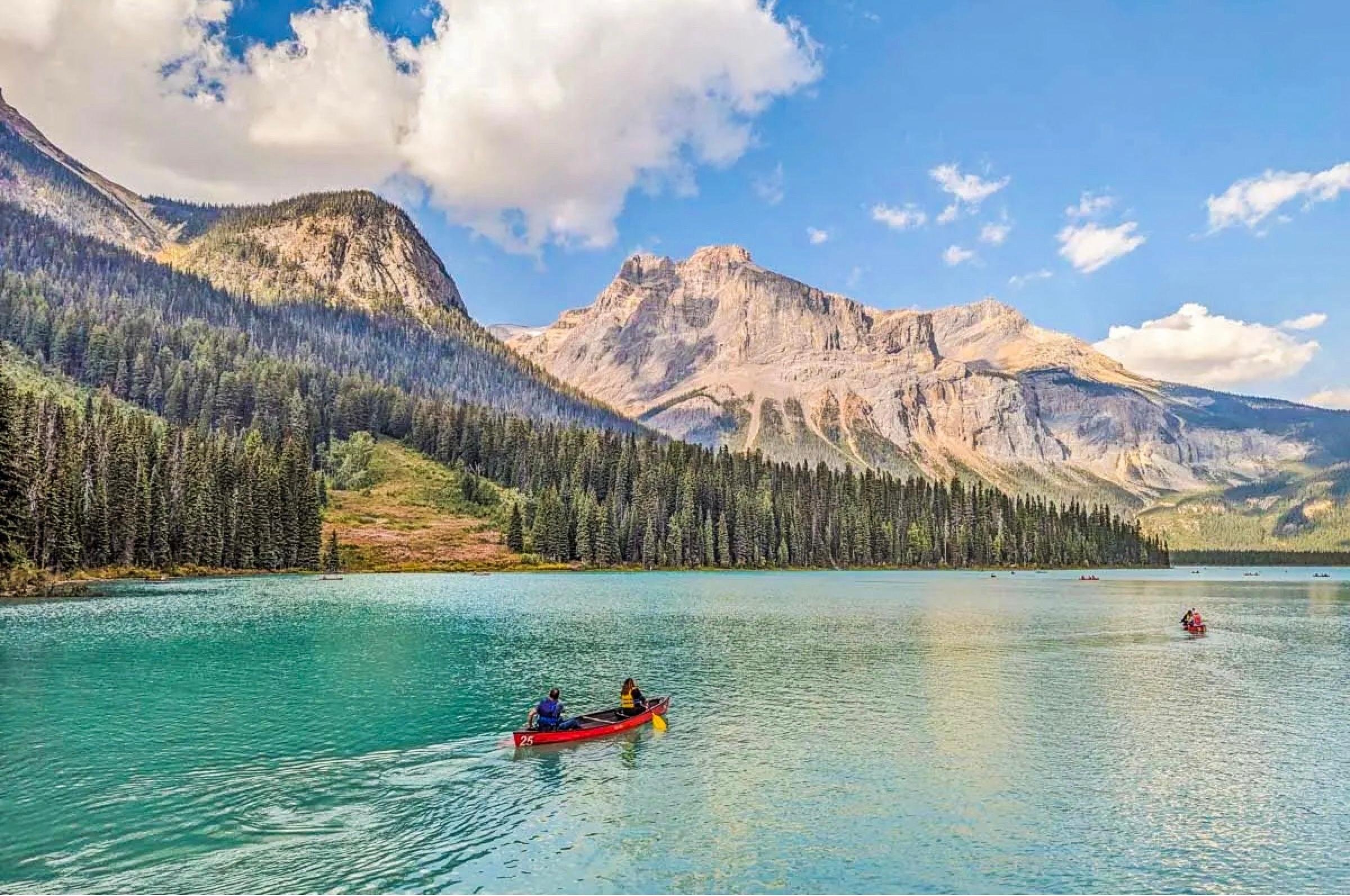 Banff/Calgary: Louise, Moraine, Emerald & Peyto Lake-4 Lakes - 2026 (Verified Reviews)