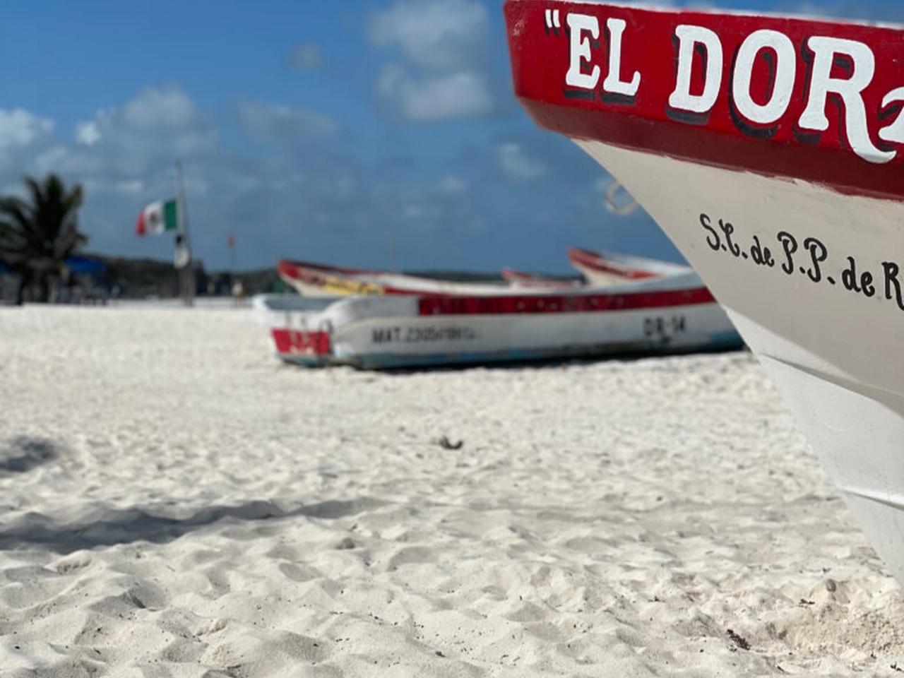 Tulum Ruins by Boat, Cenote Swim & Sea Turtle Snorkel Tour