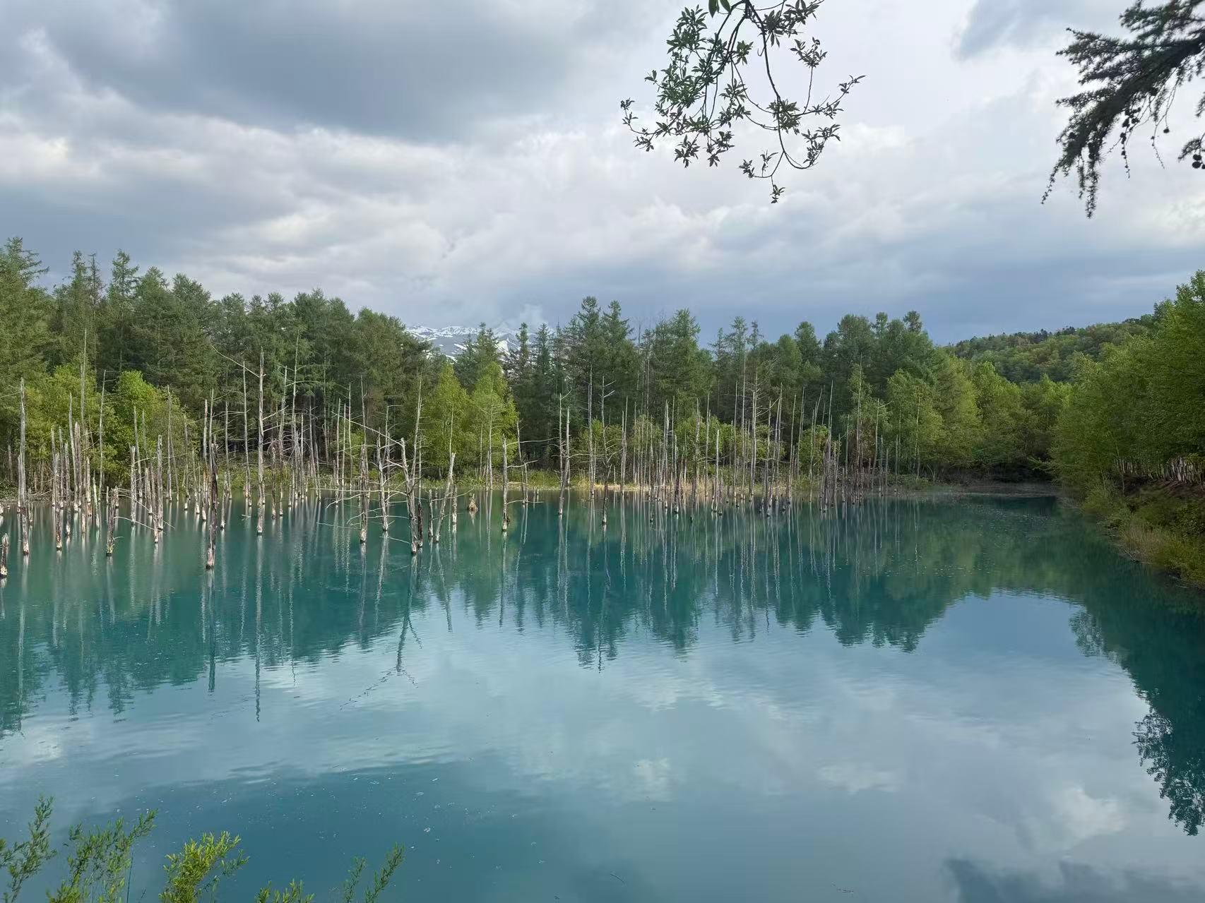 Furano & Biei Private 10-Hour Customizable Tour