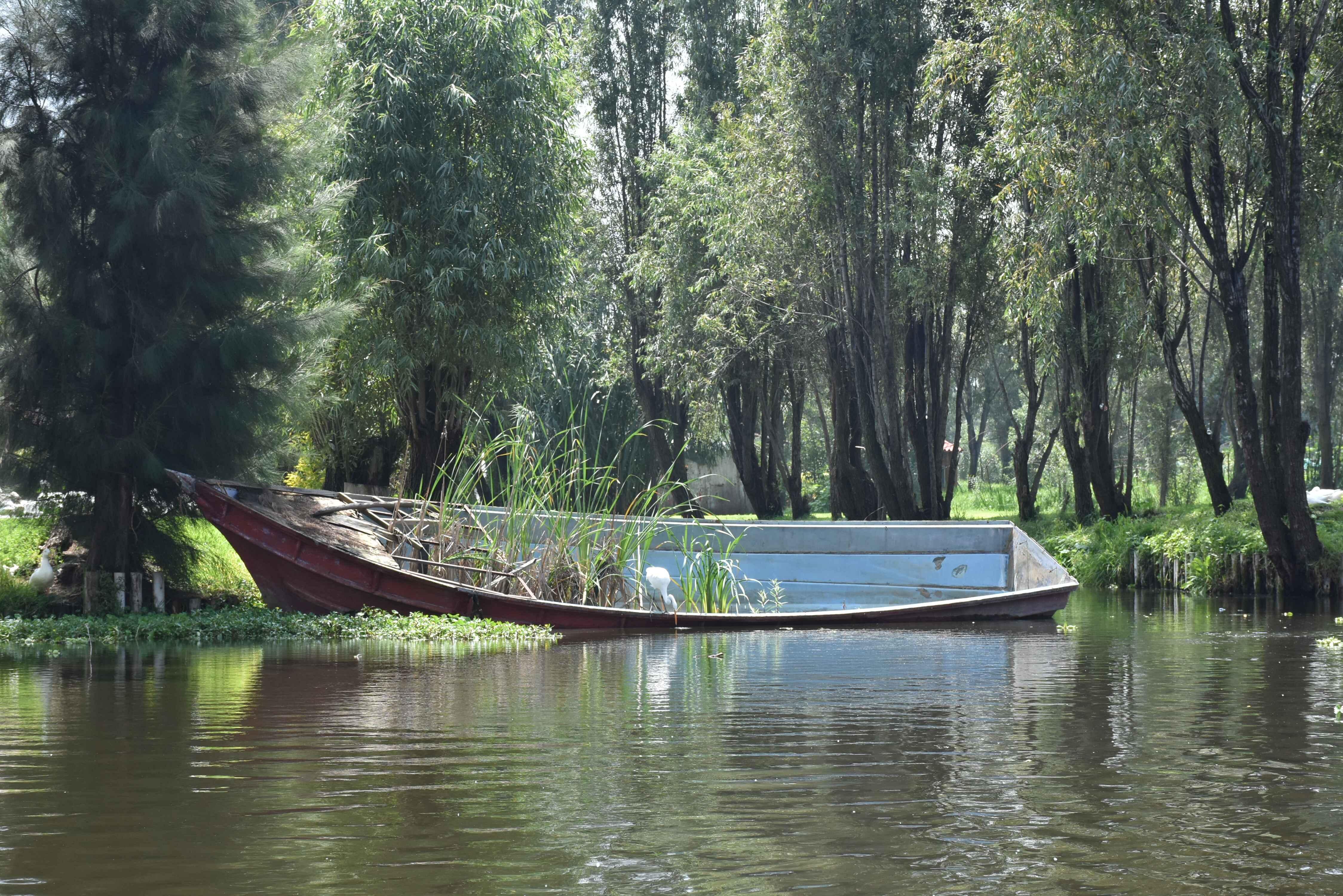 Xochimilco Ecological Boat Escape