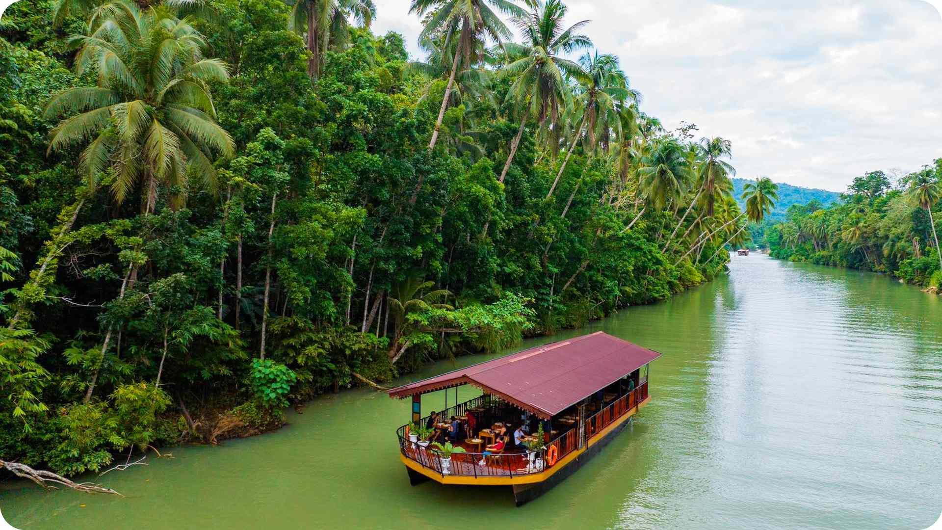Bohol Island Day Trip from Cebu with Loboc River Lunch Cruise