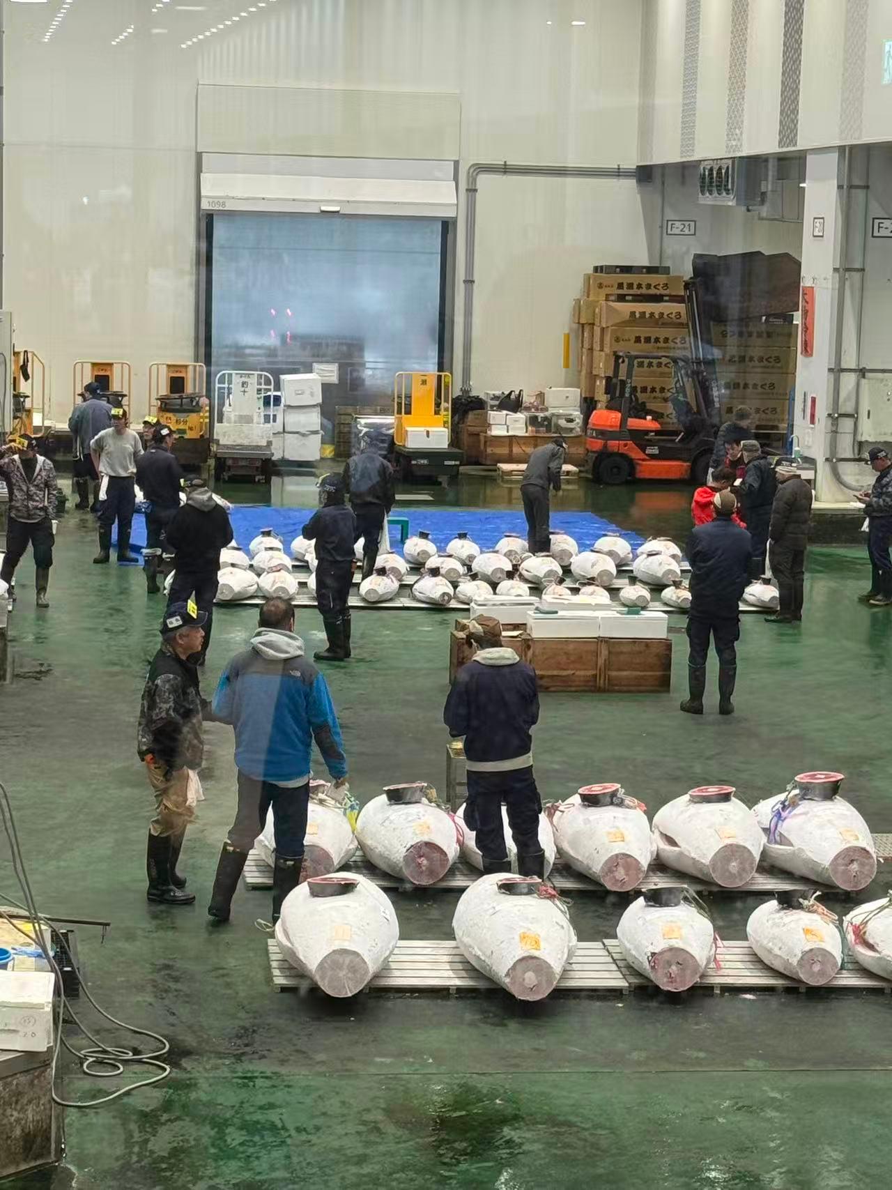 Toyosu Fish Market Morning Tour with Tuna Auction & Breakfast