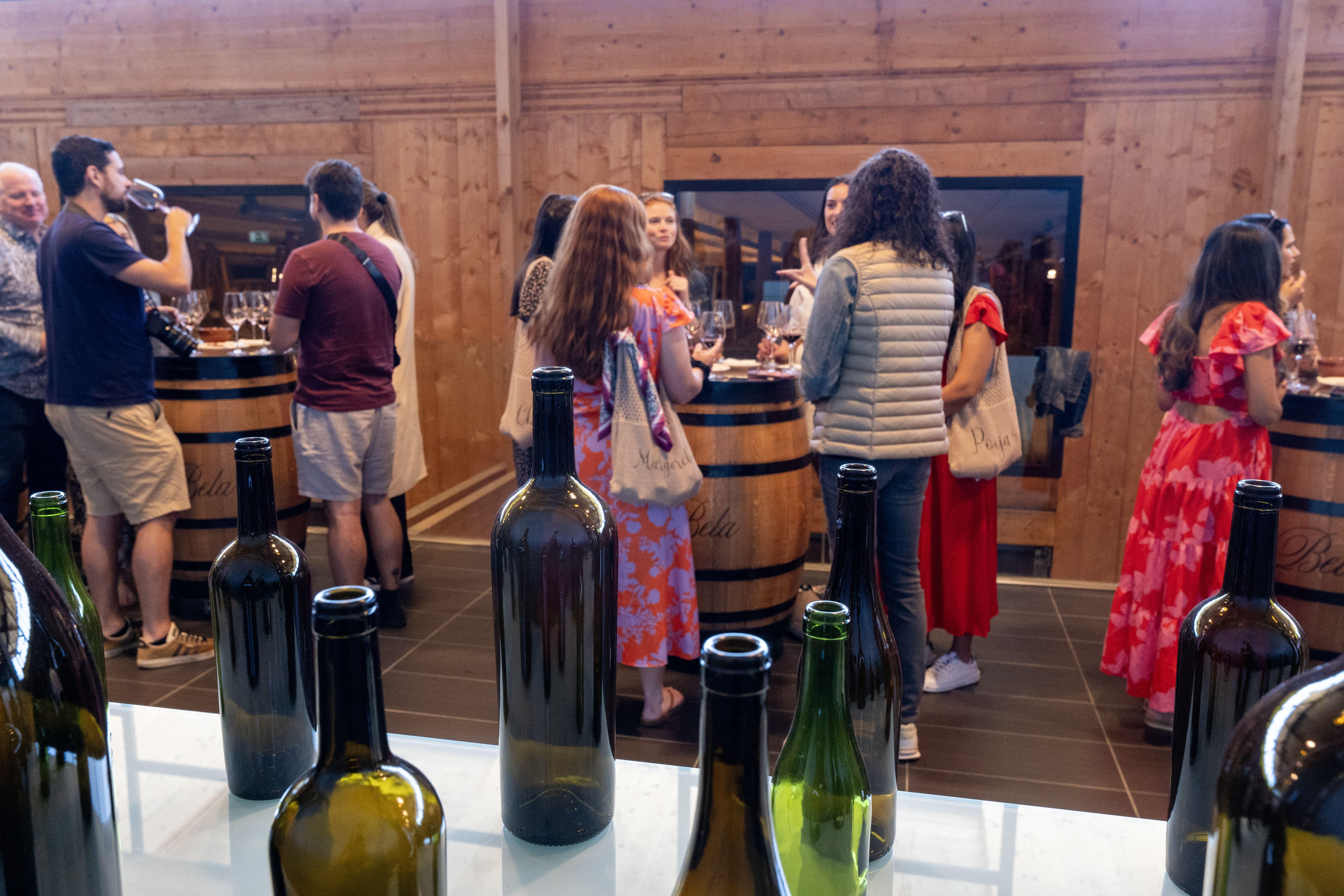 wine tour in Ribera del Duero — photo 29