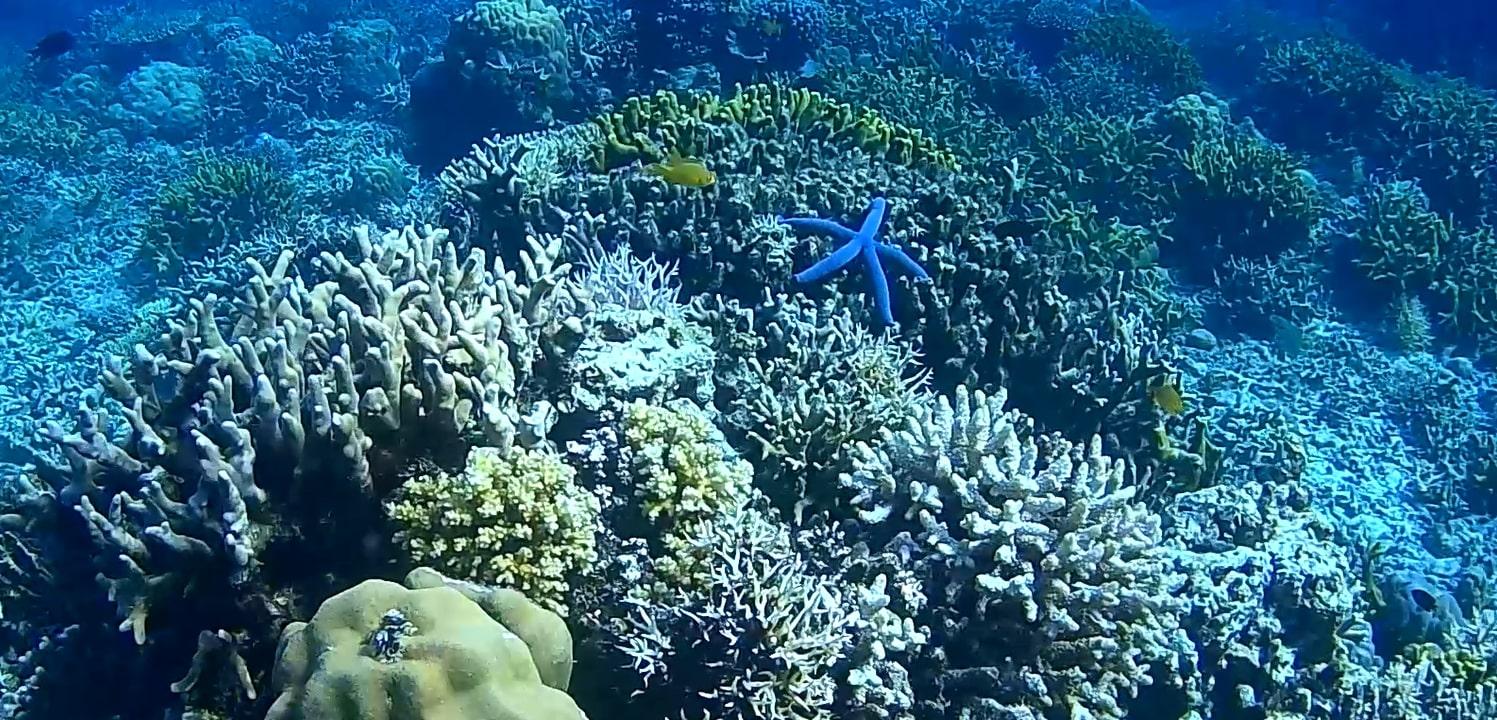 Sibaltan Private Snorkeling & Hidden Islands Boat Tour