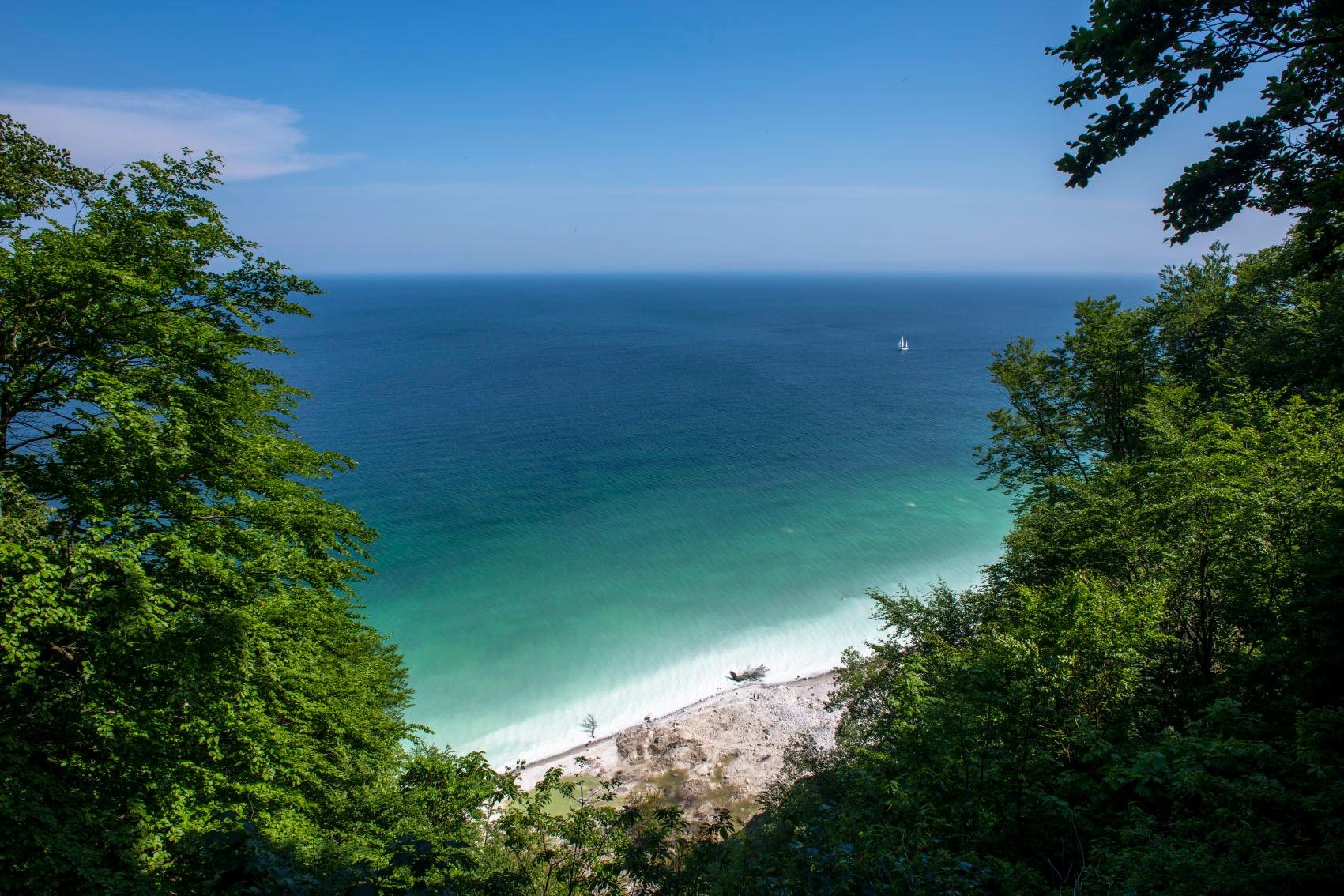 Møns Klint day trip from Copenhagen — image 11