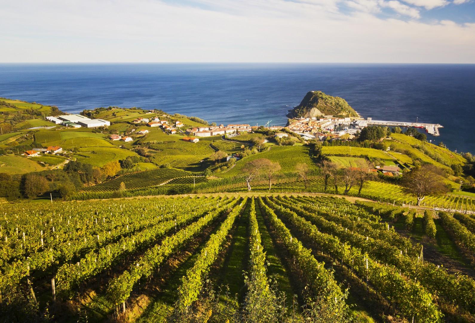 Basque Coast Wine & Nature Experience