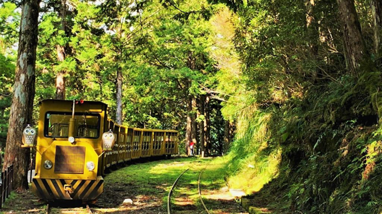 Taipingshan Forest Private Day Trip from Taipei