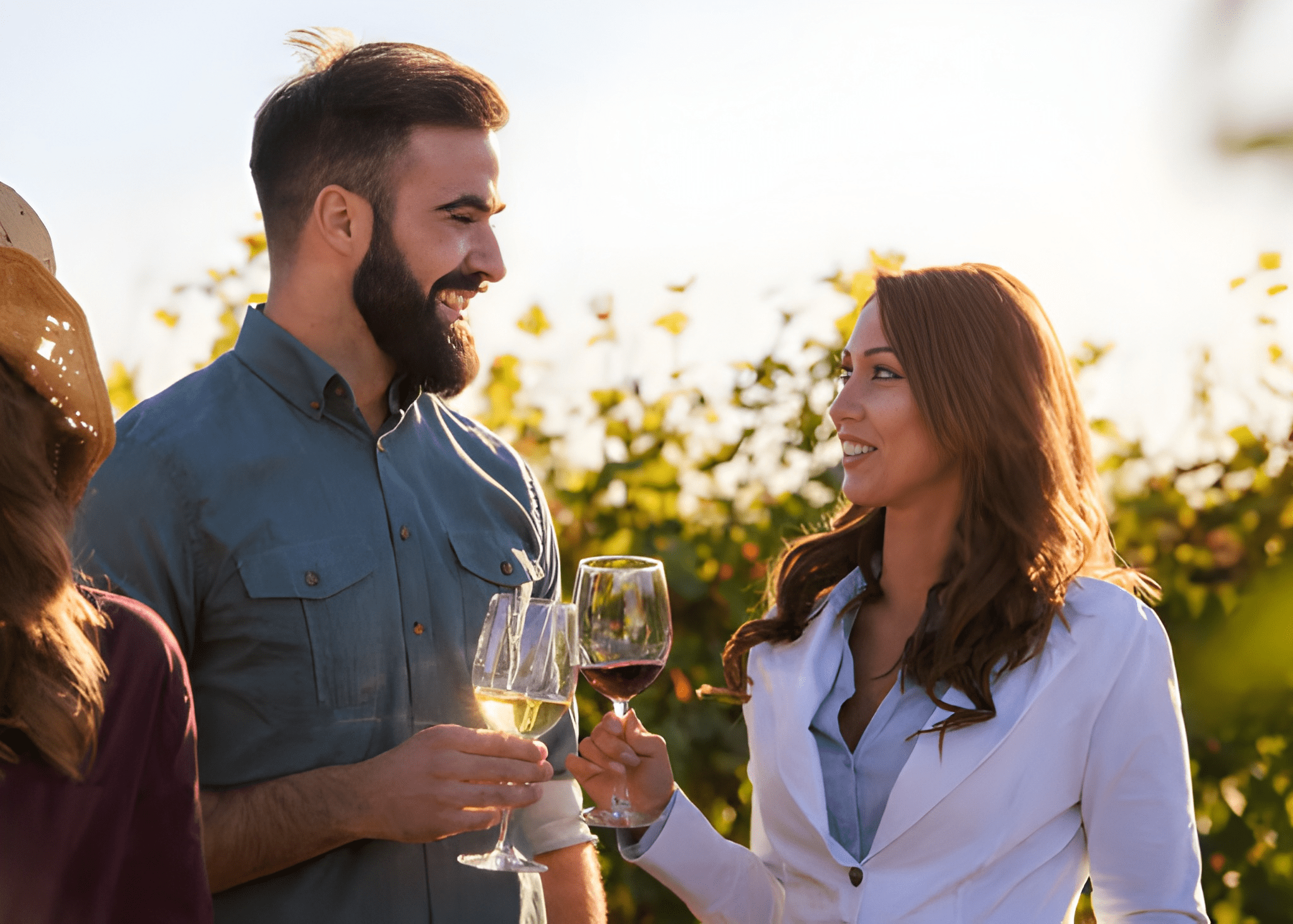 Valpolicella Wine Tour from Verona