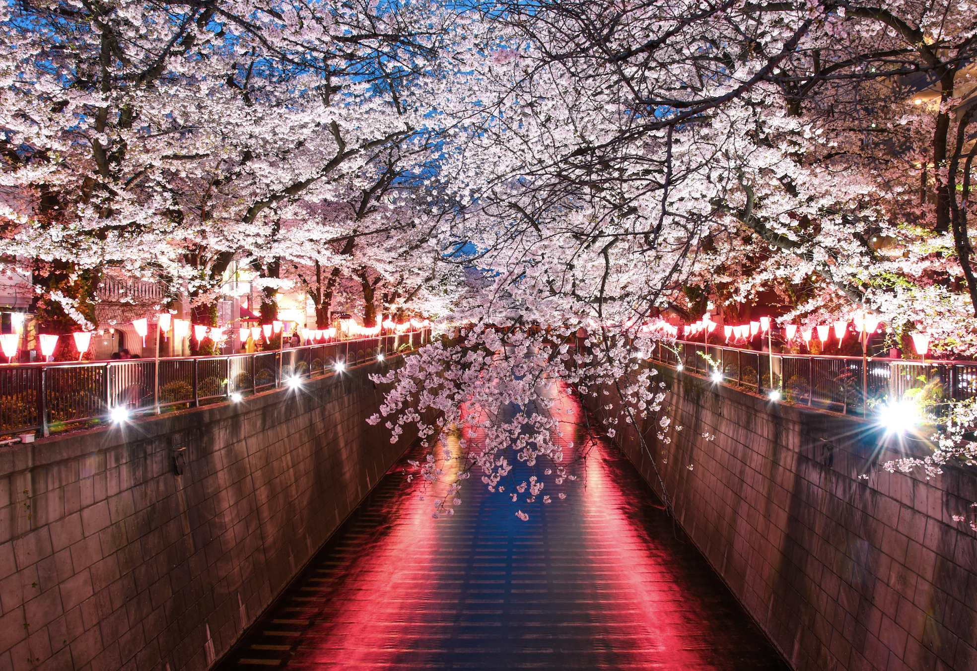 Tokyo: Onsen & Sunset Walk Private Tour – Tattoo-Friendly — Japanese onsen experience photo 1