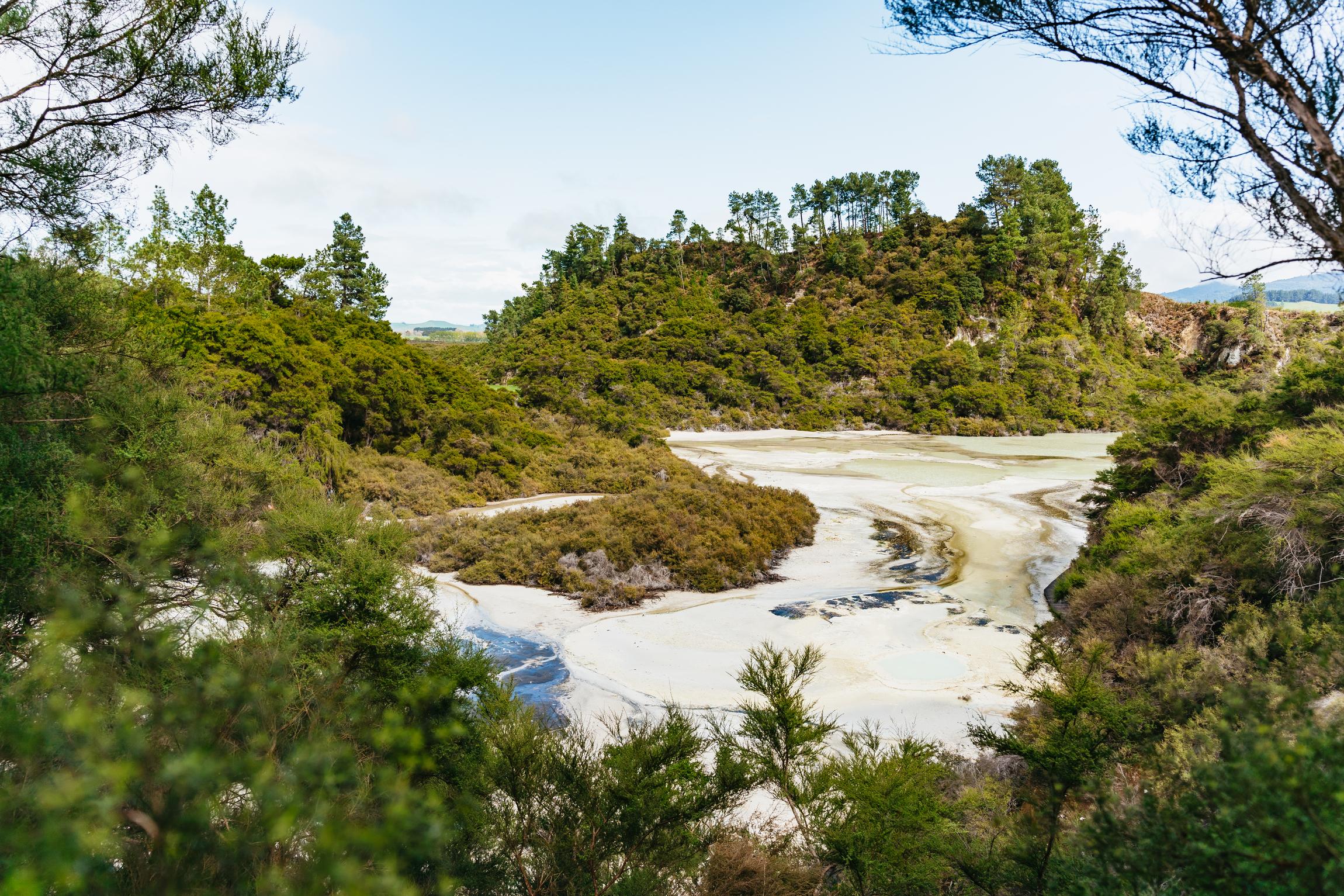 Wai-O-Tapu Thermal Wonderland Rotorua — Champagne Pool and Artist's Palette — image 19
