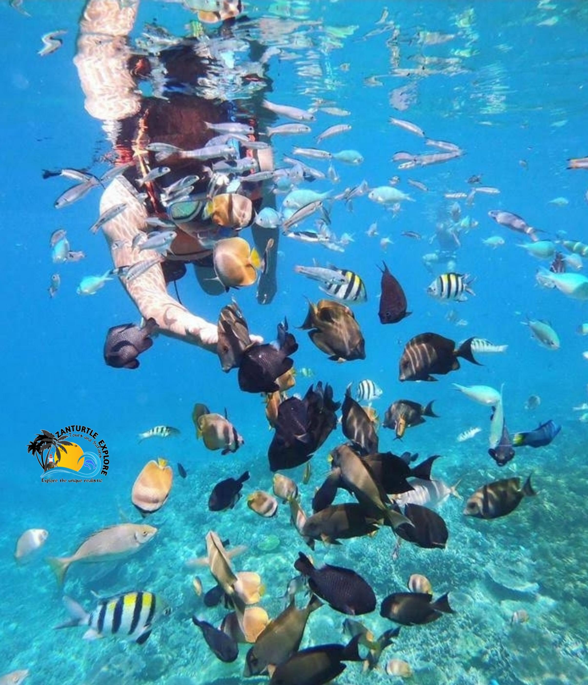 Private Zanzibar Blue Lagoon & Starfish Beach Excursion