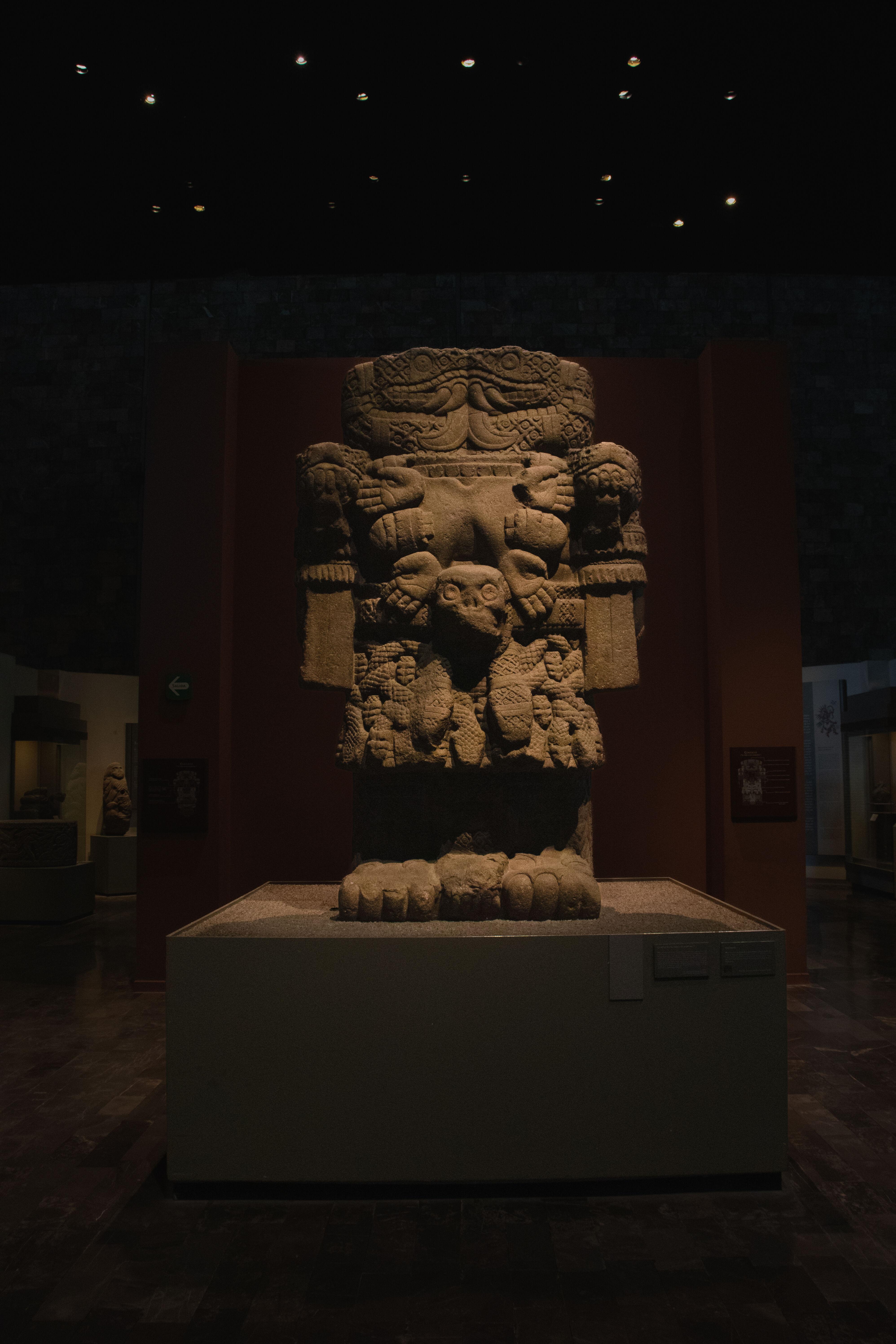 Anthropology Museum Tour with Historian