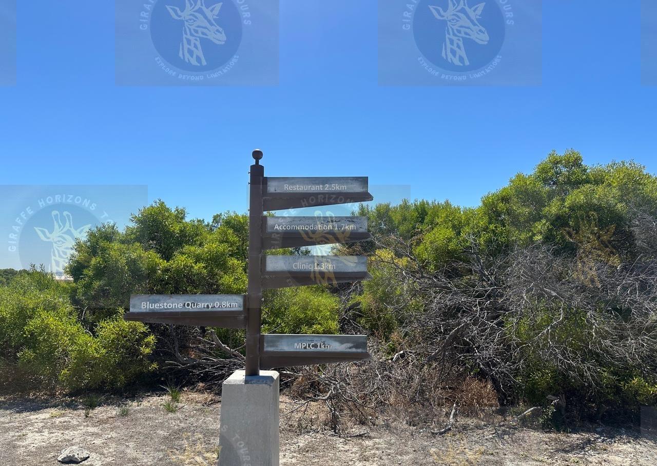 Robben Island Ferry, Prison & Guided Tour from Cape Town