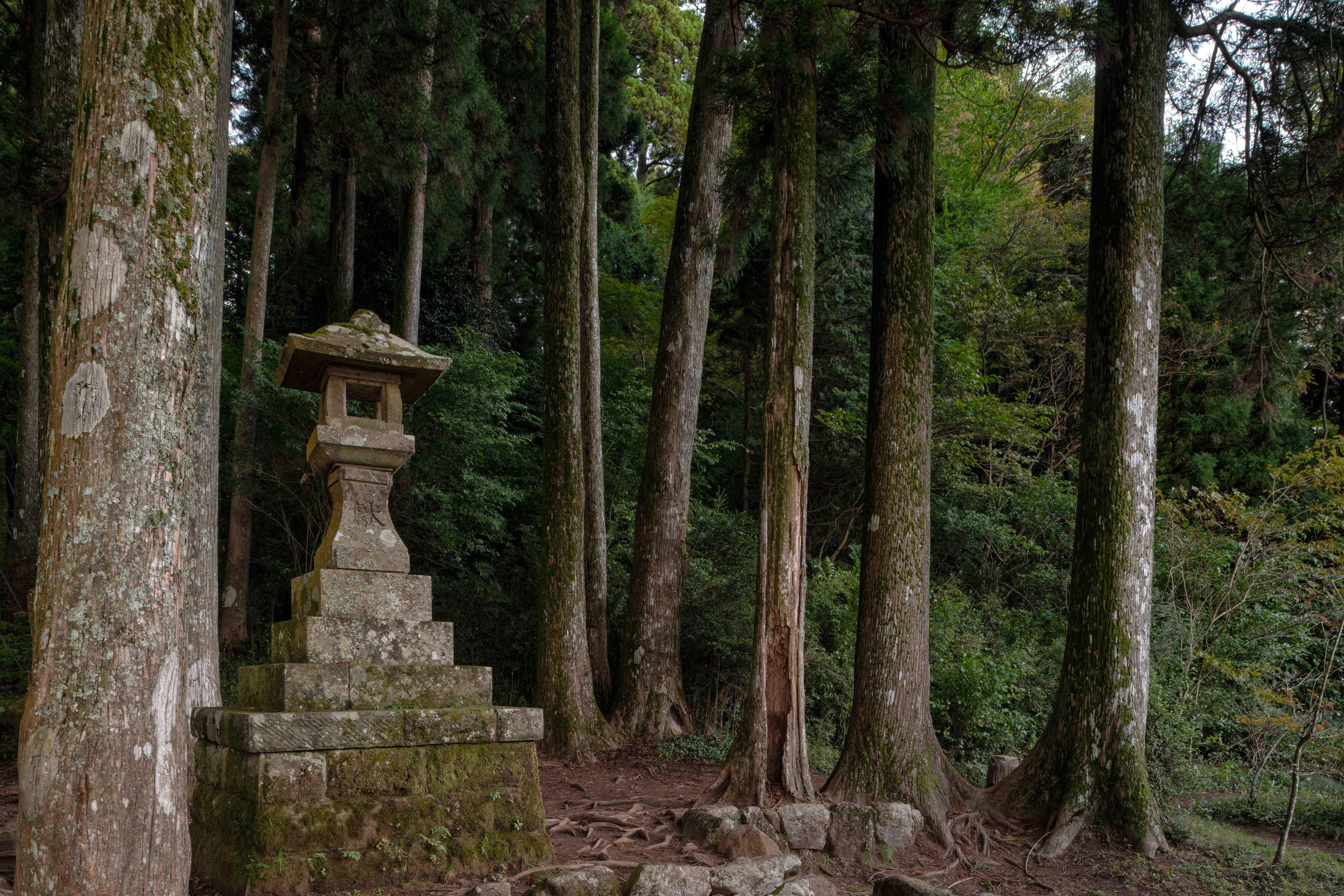 From Tokyo: Private Tour to Fuji/Hakone - Onsen, Art, Nature — Japanese onsen experience photo 42