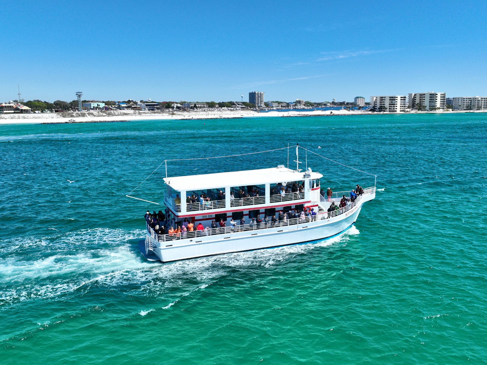 Destin Dolphin Watching Cruise on the Southern Star