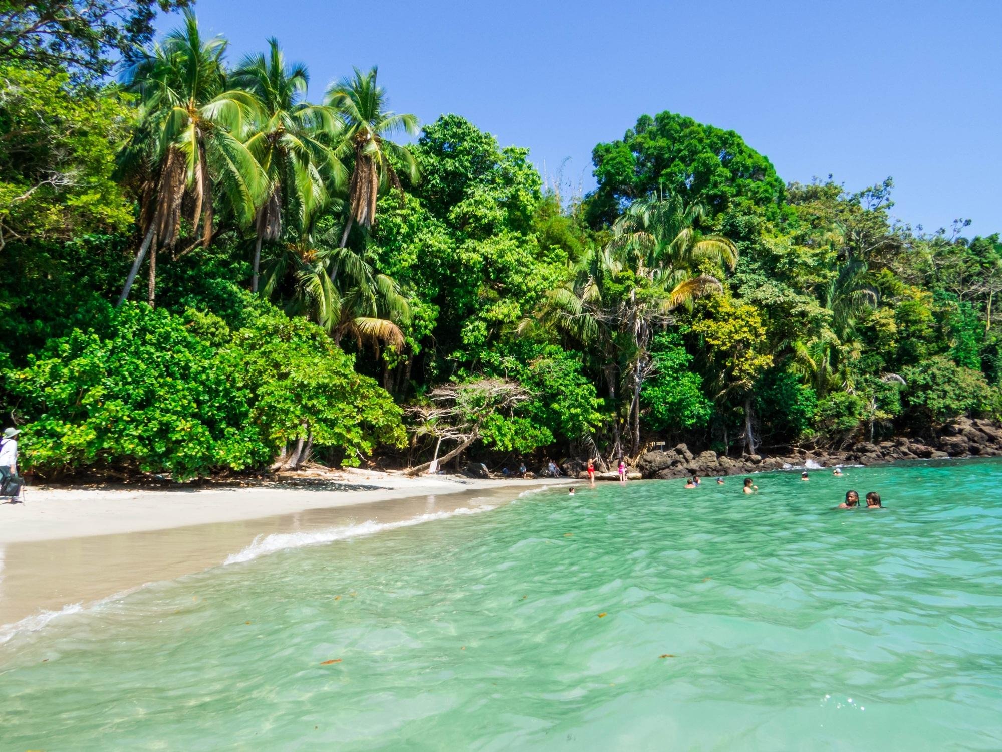 Manuel Antonio Private Tour from San José