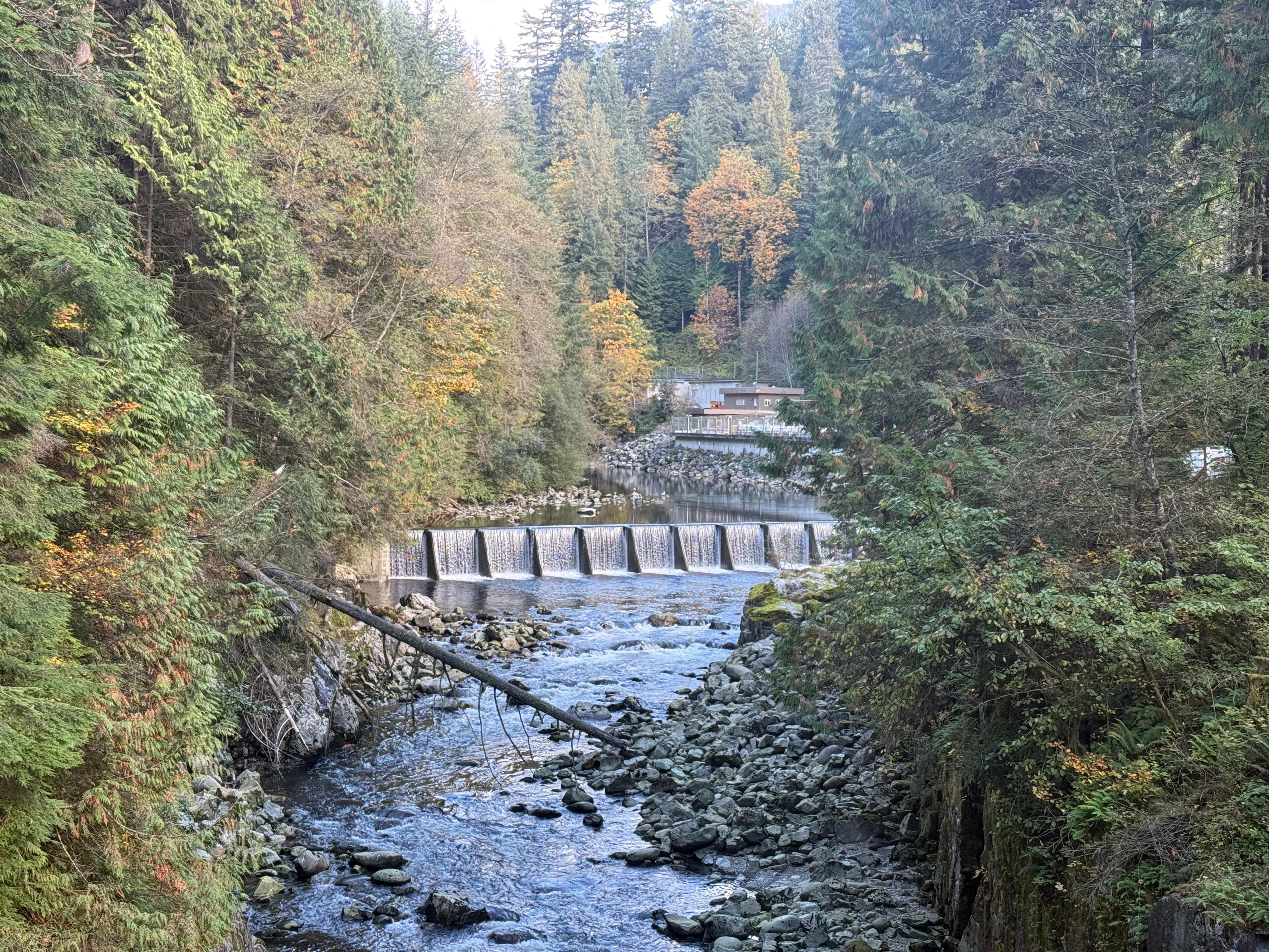 5-in-1 Vancouver Highlights: Grouse Mountain & Capilano Bridge Private Car Tour