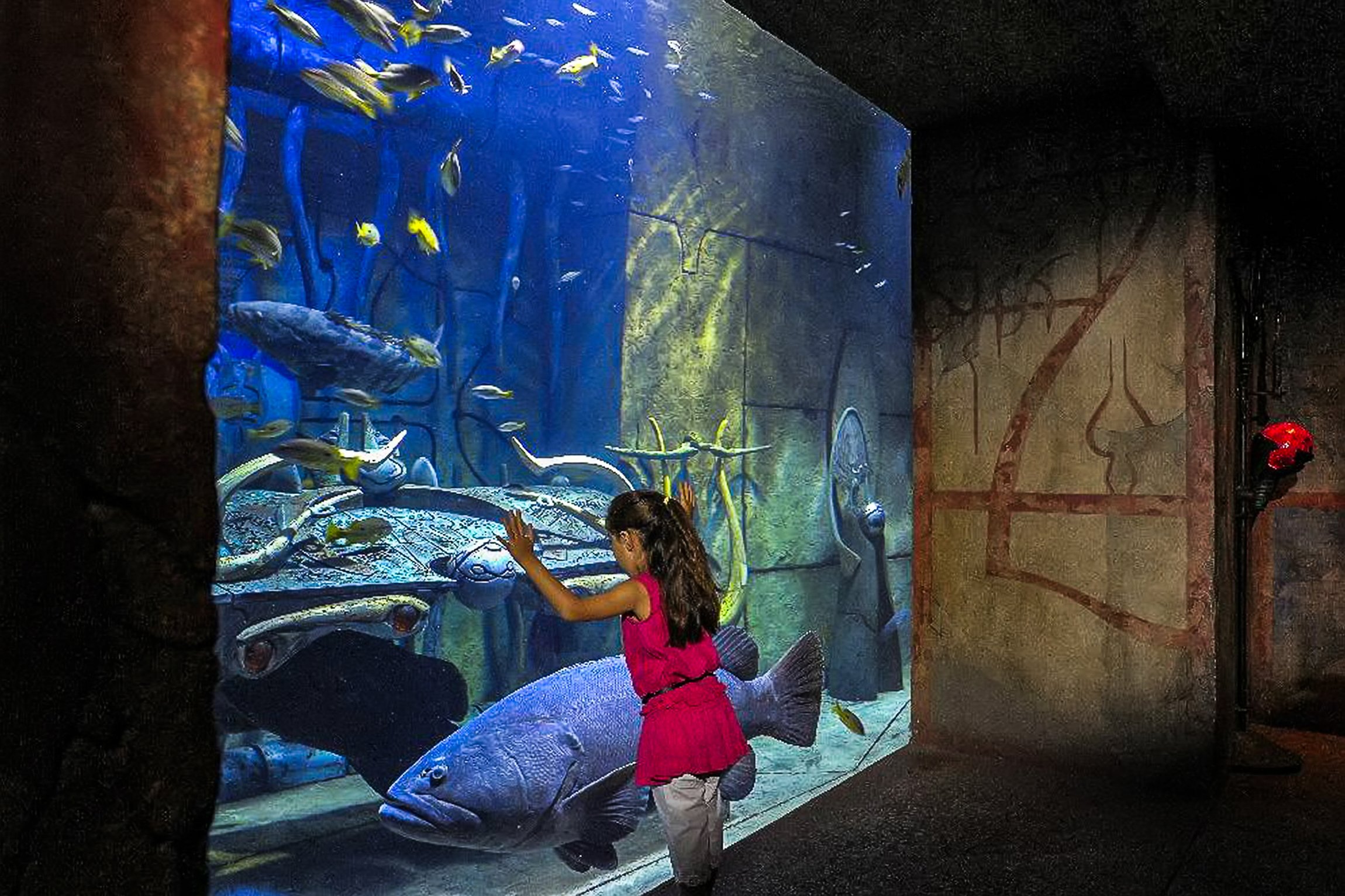 Dubai Lost World Aquarium Day Pass
