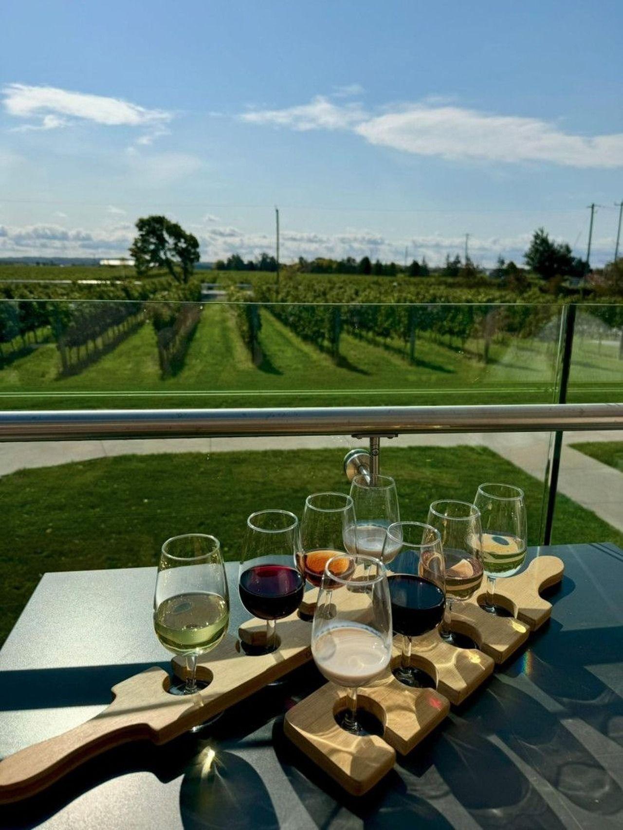 Niagara-on-the-Lake Winery, Cidery & Cocktail Tour with Lunch
