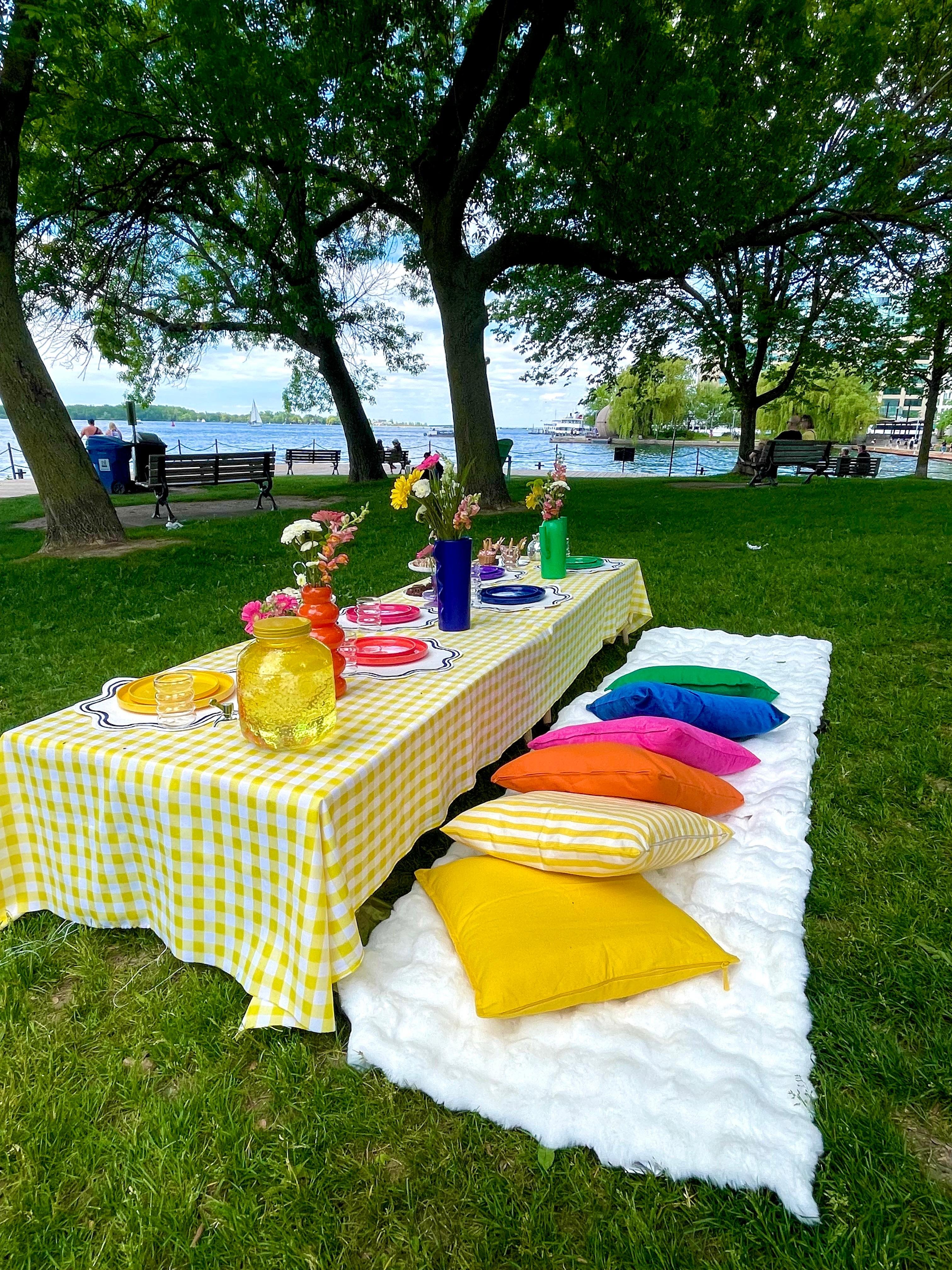 Toronto Waterfront Picnic Experience with Brunch & Grazing Box