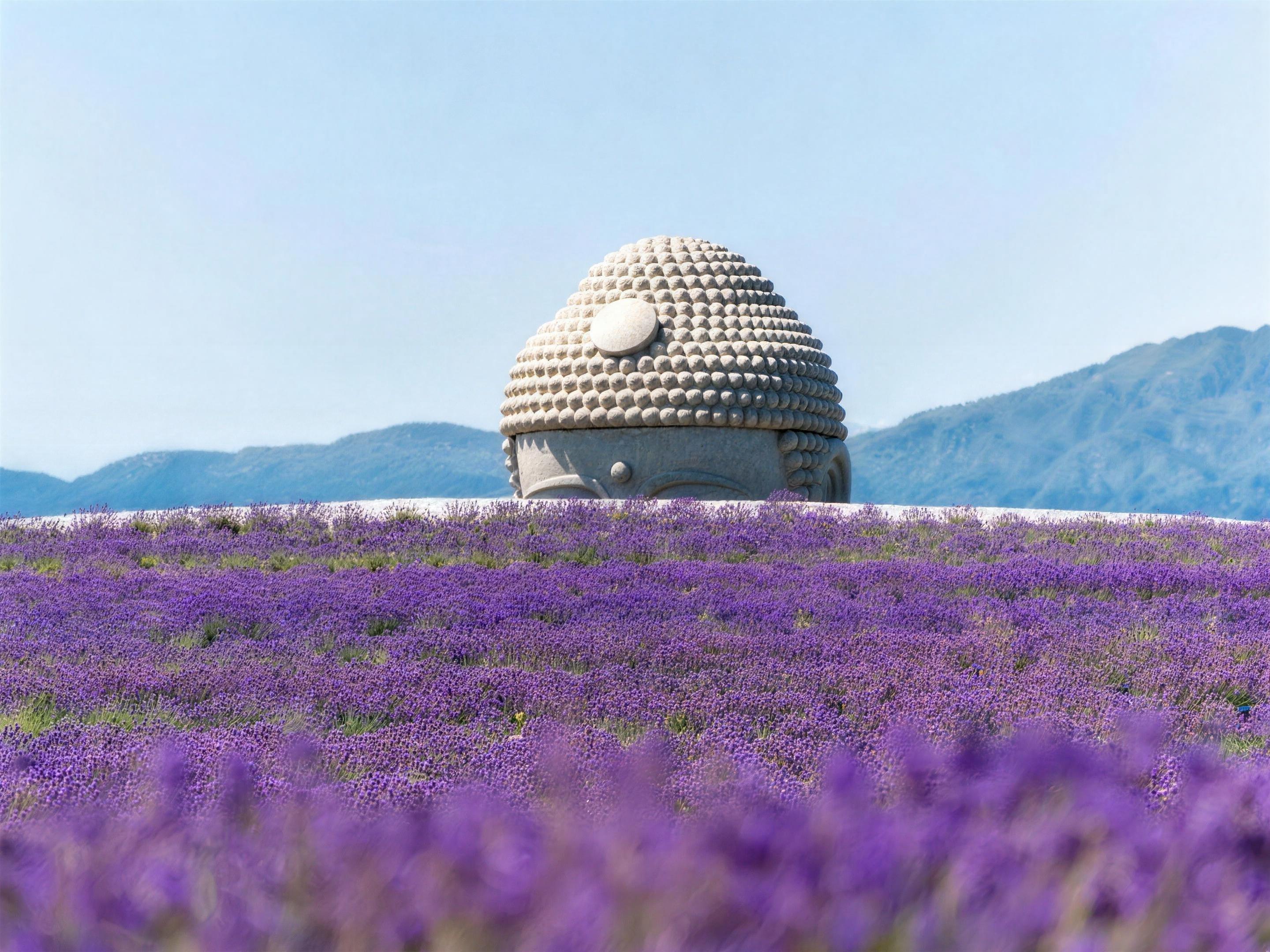 Hokkaido Highlights: Buddha Hill, Lake Toya & Volcanic Hell Valley