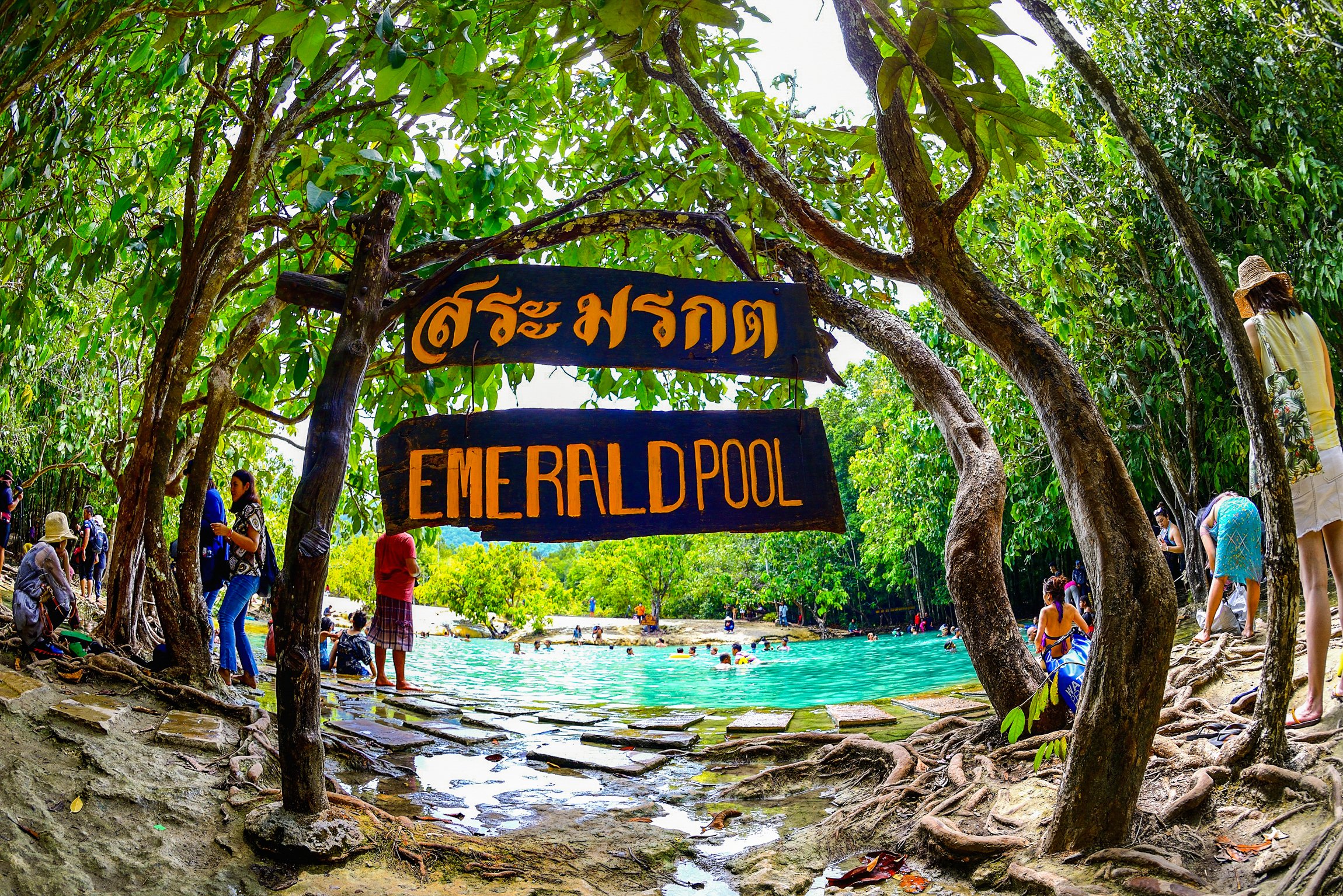 Krabi Nature & Temples Day Tour: Emerald Pool, Hot Springs & Tiger Cave