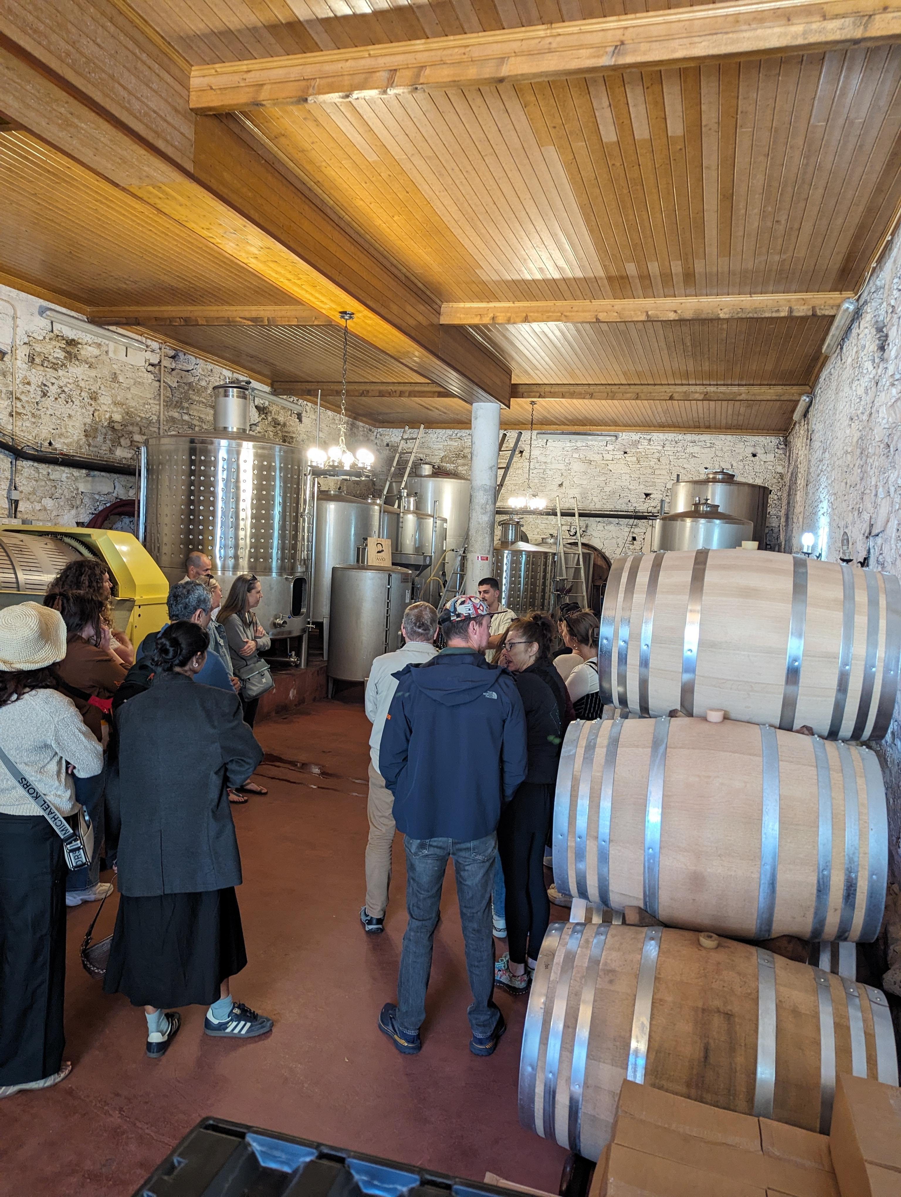 Porto: Douro Valley & Vinho Verde Day Tour with Tastings, Lunch & Boat Cruise