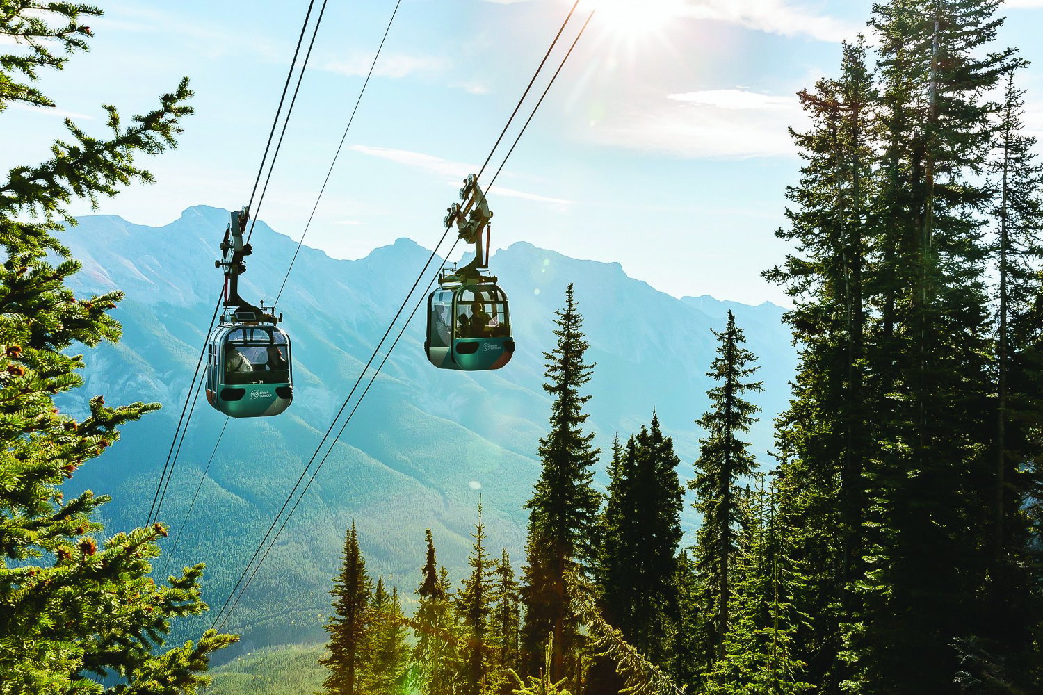 Banff Gondola — Sulphur Mountain summit and Banff National Park views — image 13