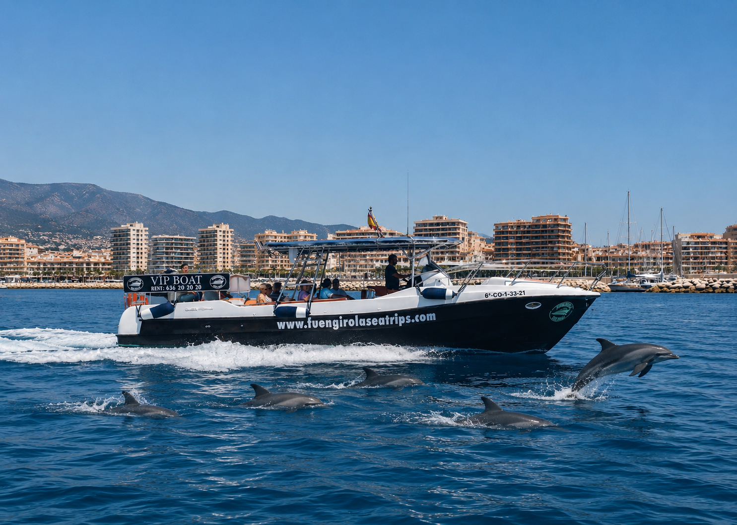 Dolphin Watching Yacht Cruise from Fuengirola