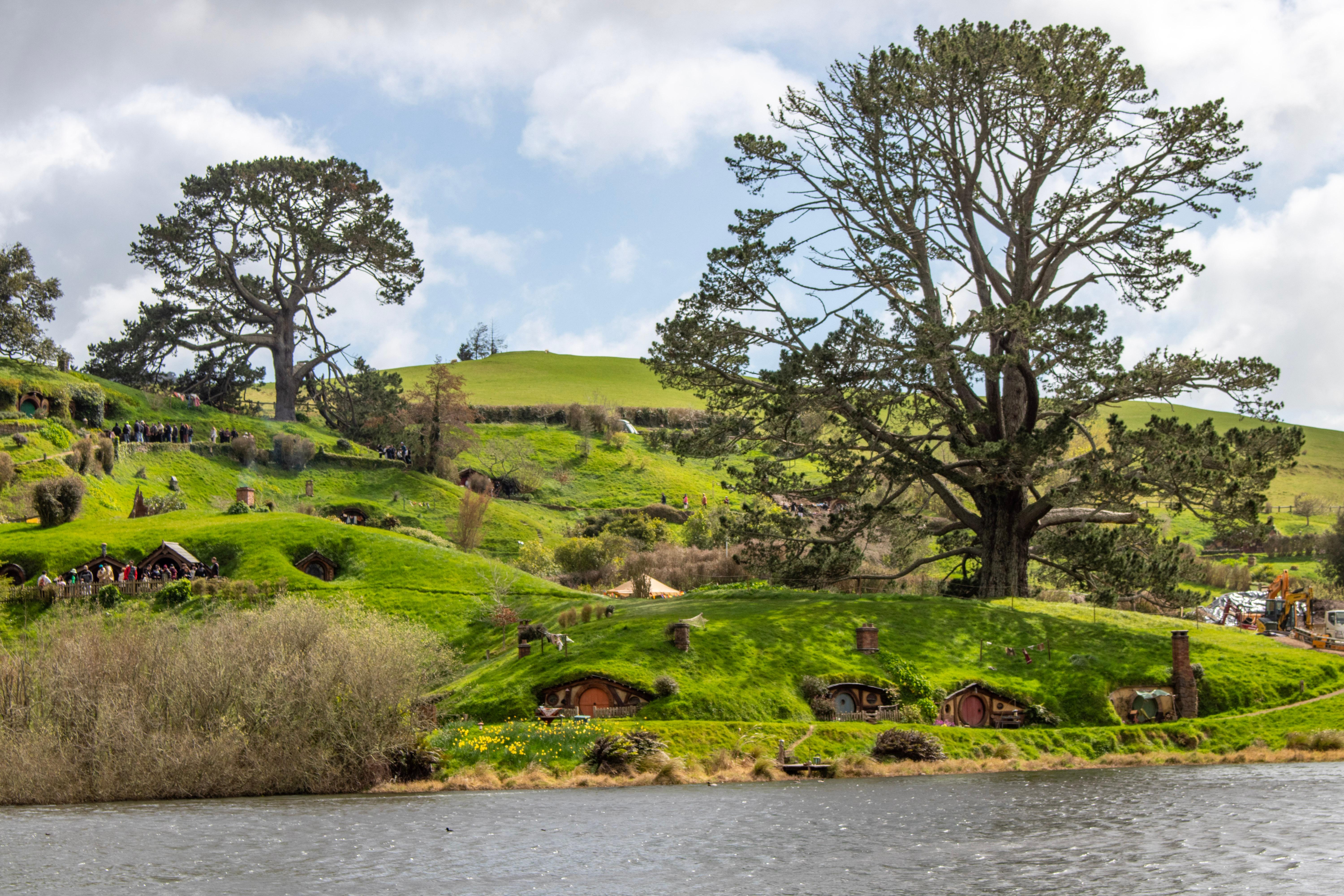 Auckland to Rotorua One-Way Tour via Hobbiton Movie Set