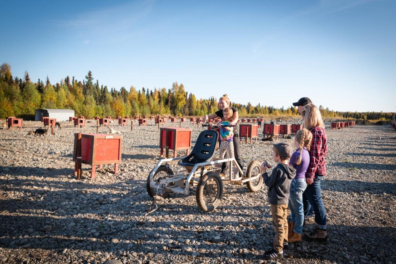 dog sledding in Talkeetna — photo 3