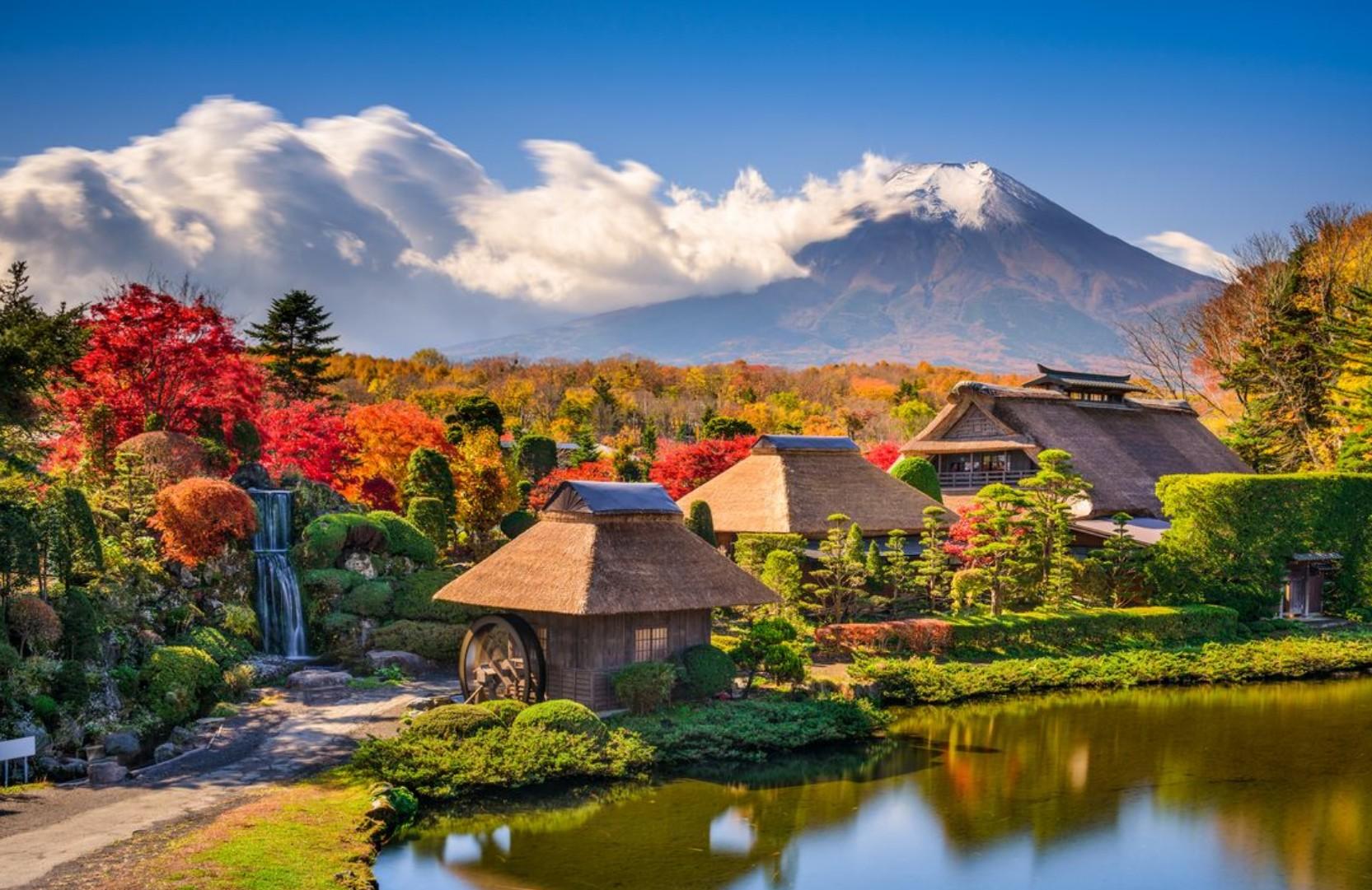 Private Mt. Fuji Day Tour from Tokyo