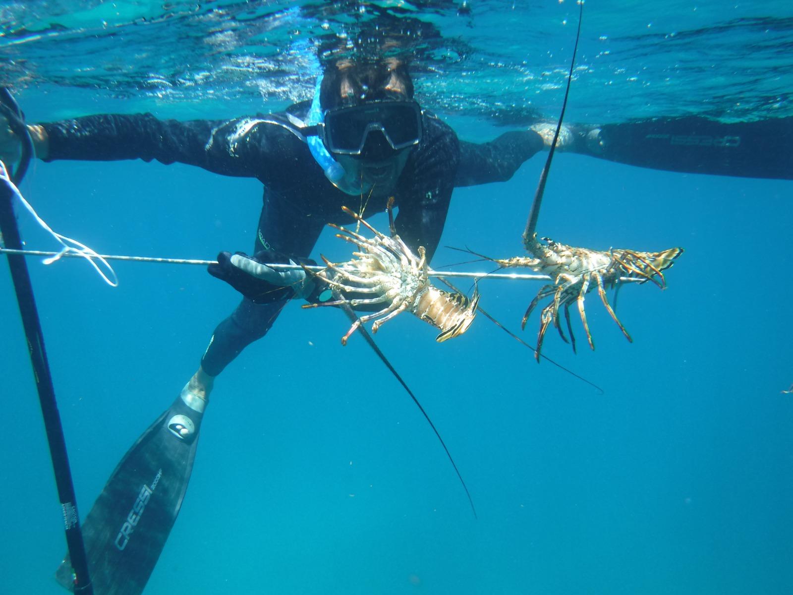 Isla Mujeres Snorkel & Spearfishing Private Escape