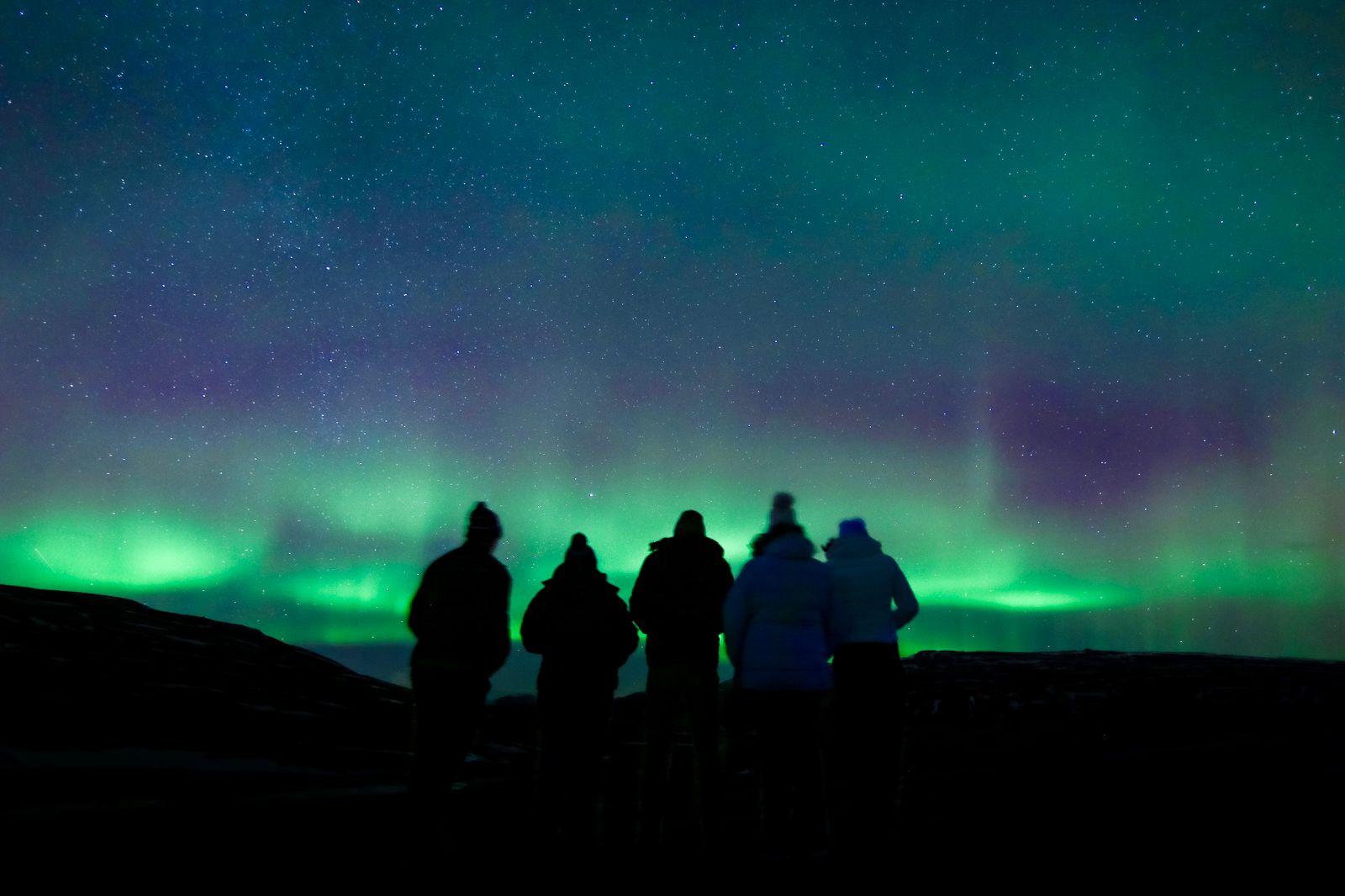 Reykjavik Northern Lights Minibus Hunt with Hot Cocoa