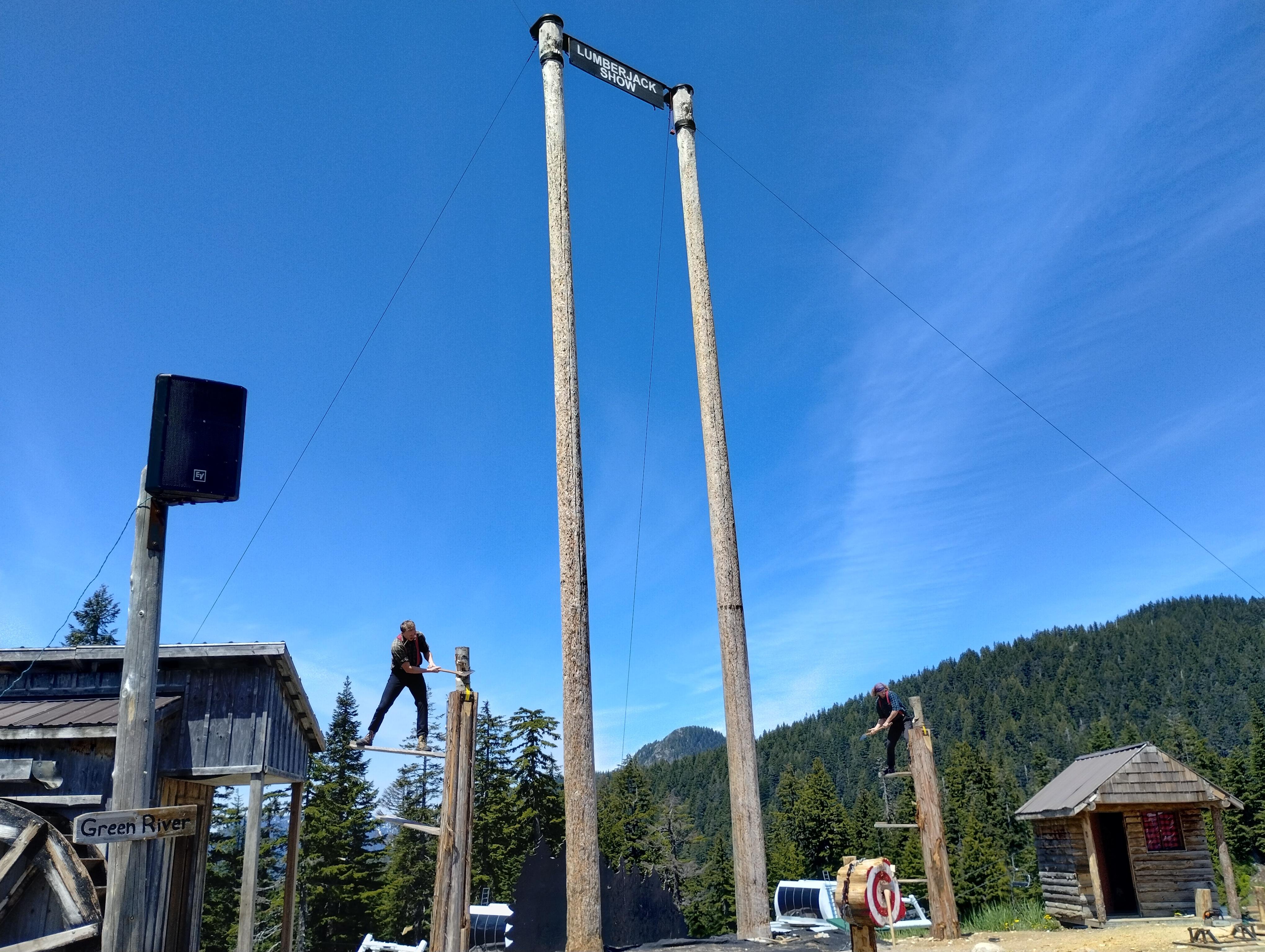 5-in-1 Vancouver Highlights: Grouse Mountain & Capilano Bridge Private Car Tour