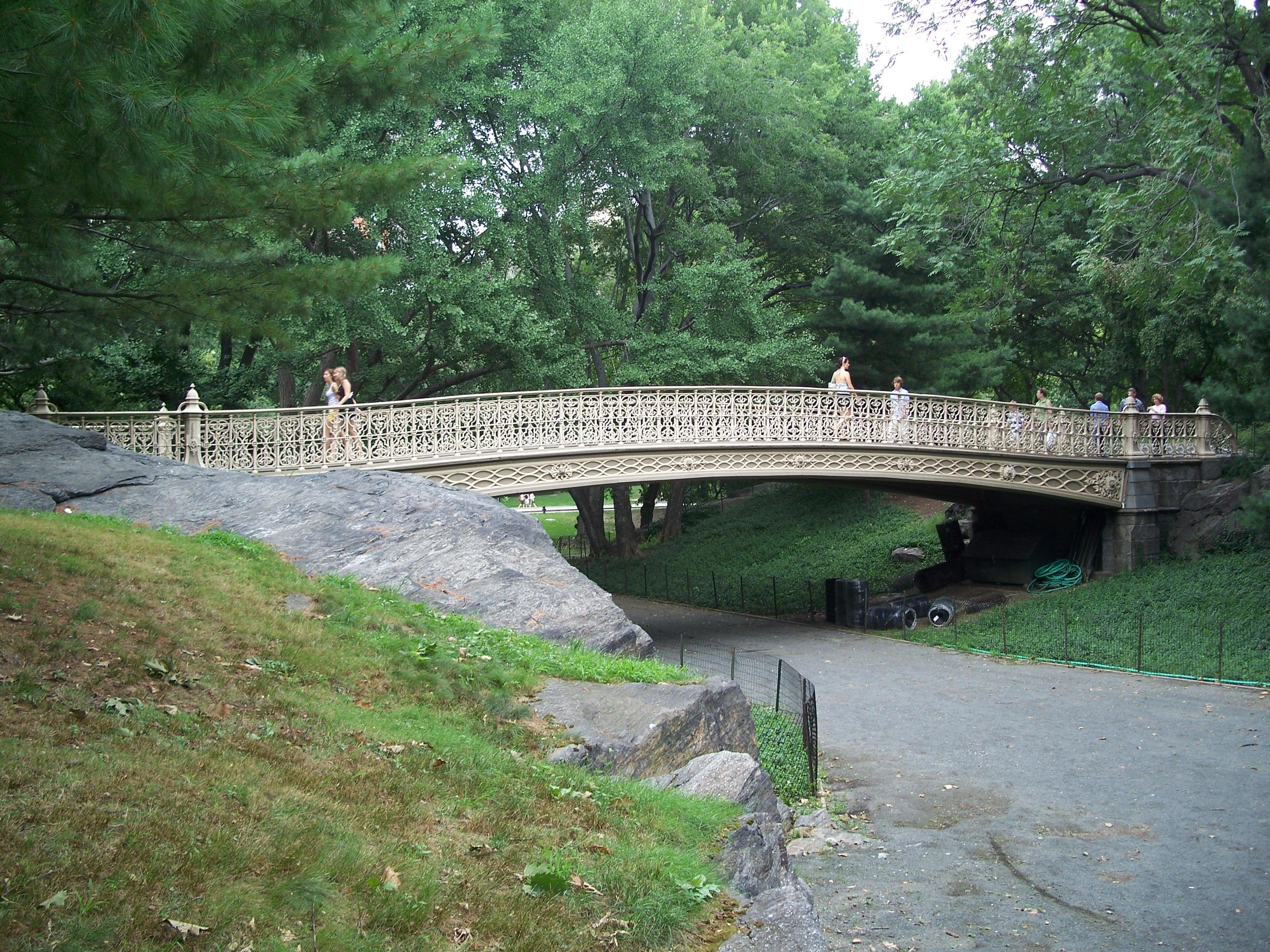 Central Park Exploration by Pedicab or Carriage
