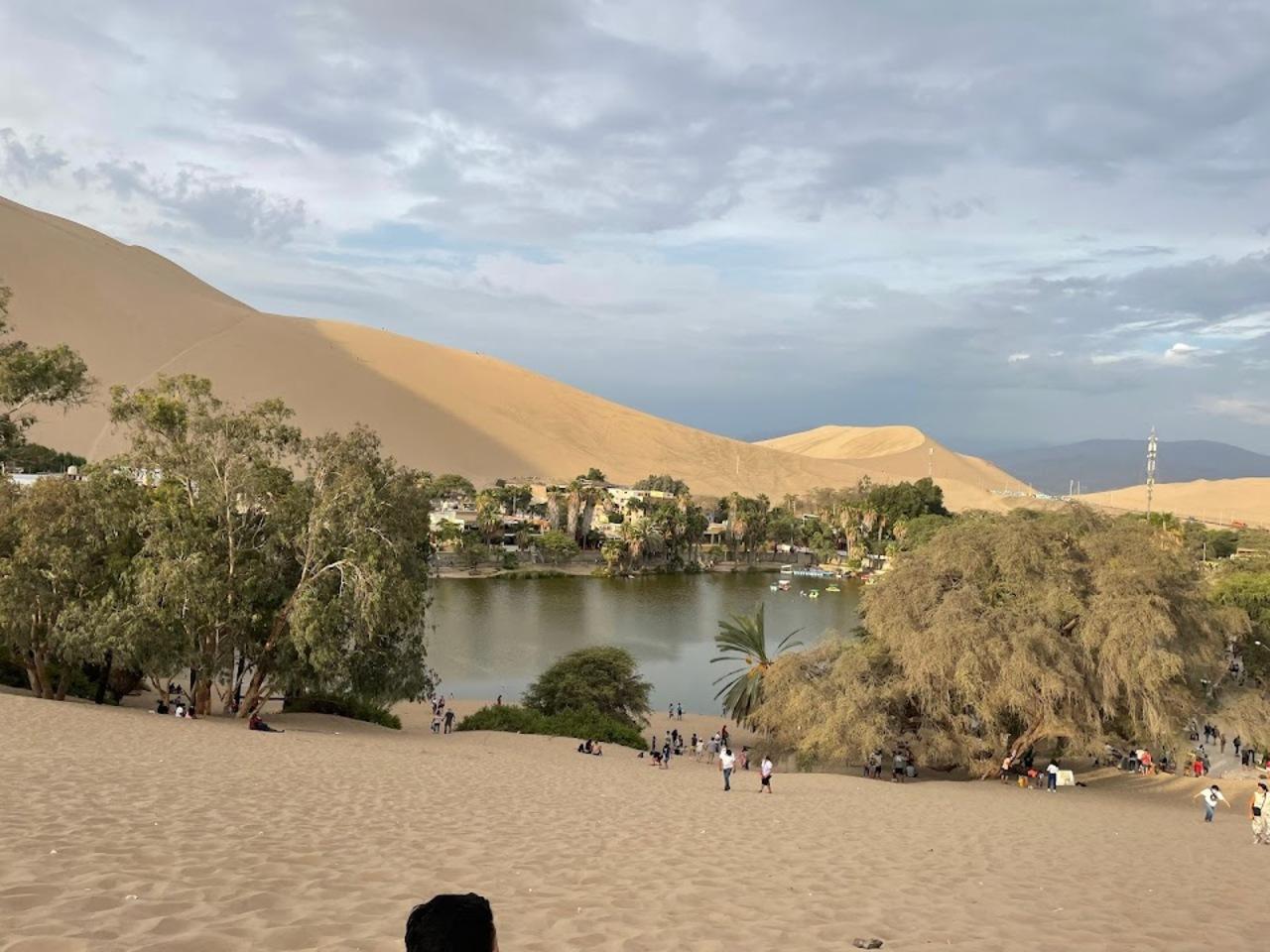 Excursión de un día a Paracas y Huacachina: vida silvestre, aventura en el desierto y cata de vinos