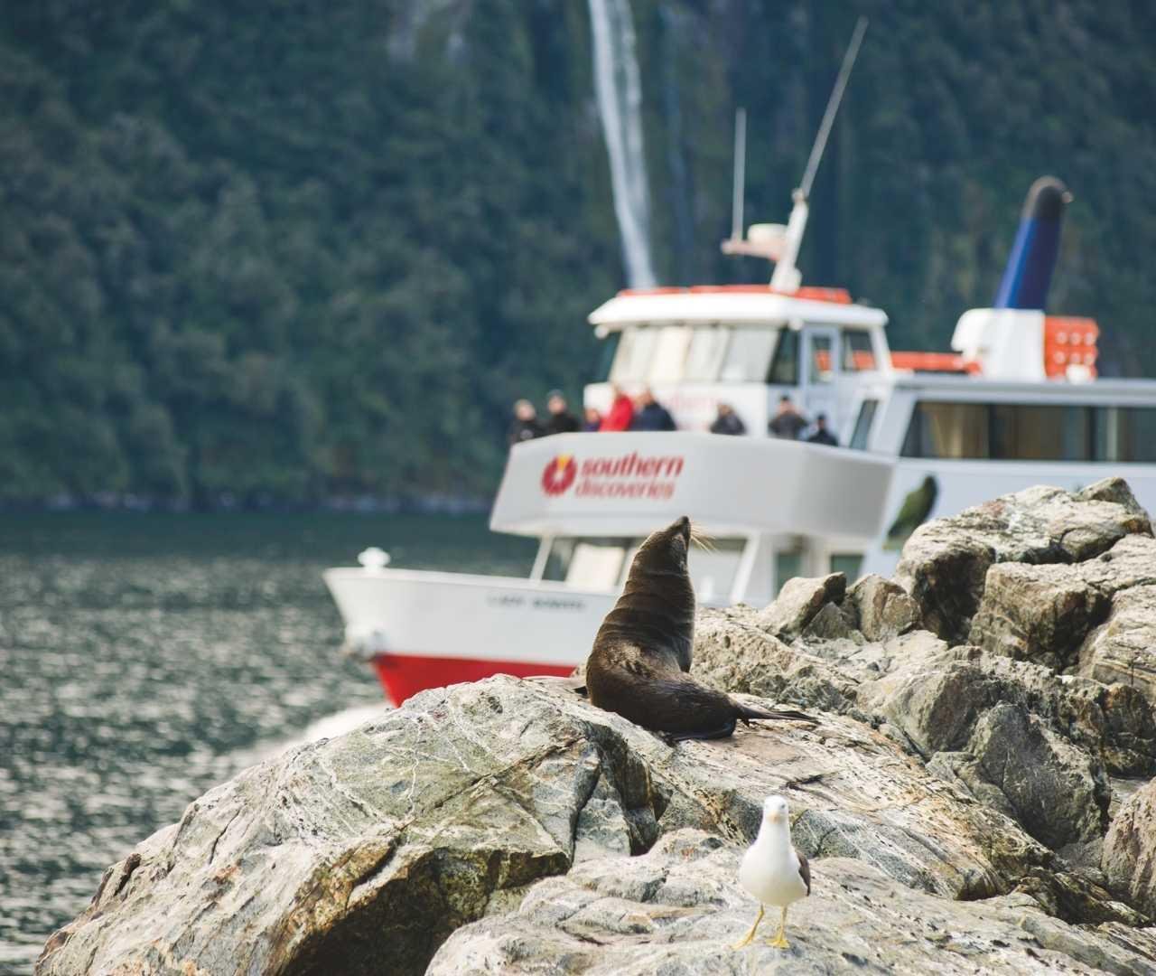 Milford Sound Full-Day Coach & Extended Cruise from Queenstown