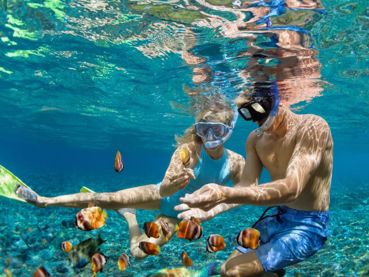 Sharm El-Sheikh: Private Speedboat to Tiran Island – Snorkel & Dive