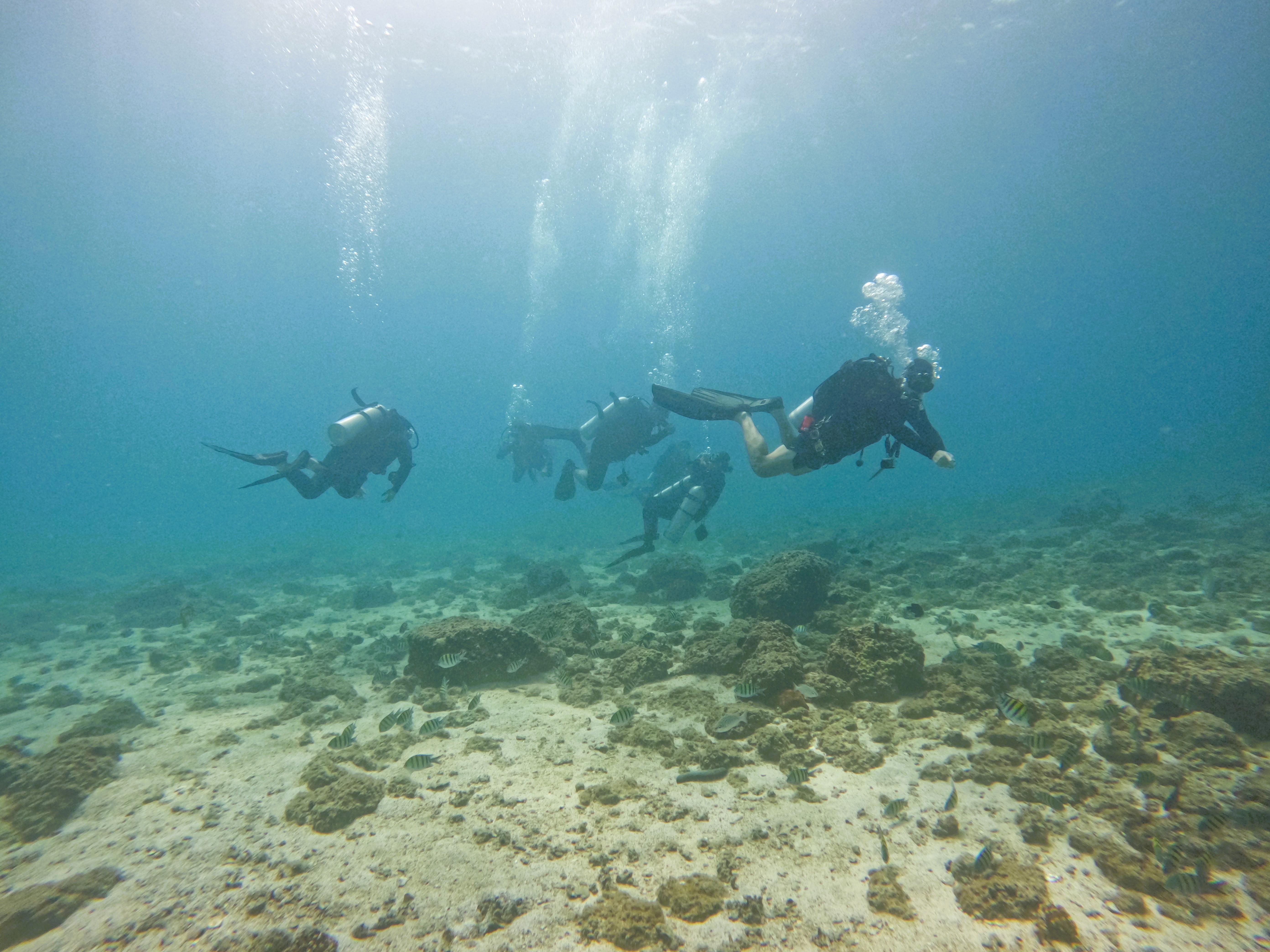 Two-Dive Experience for Certified Divers