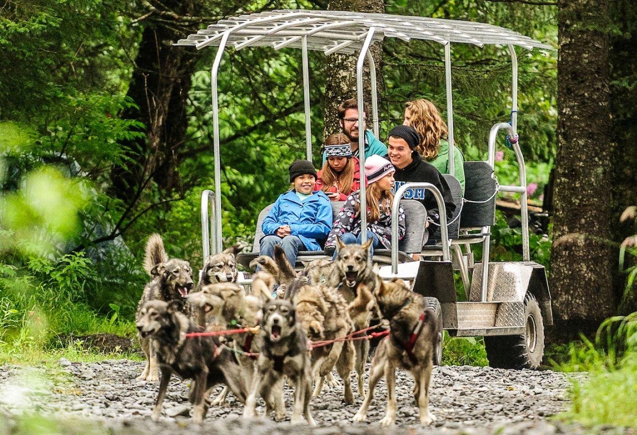 dog sledding in Seward — Seward: Turning Heads Kennel Tour & Dog Sled Ride - 2026 (Verified Reviews)