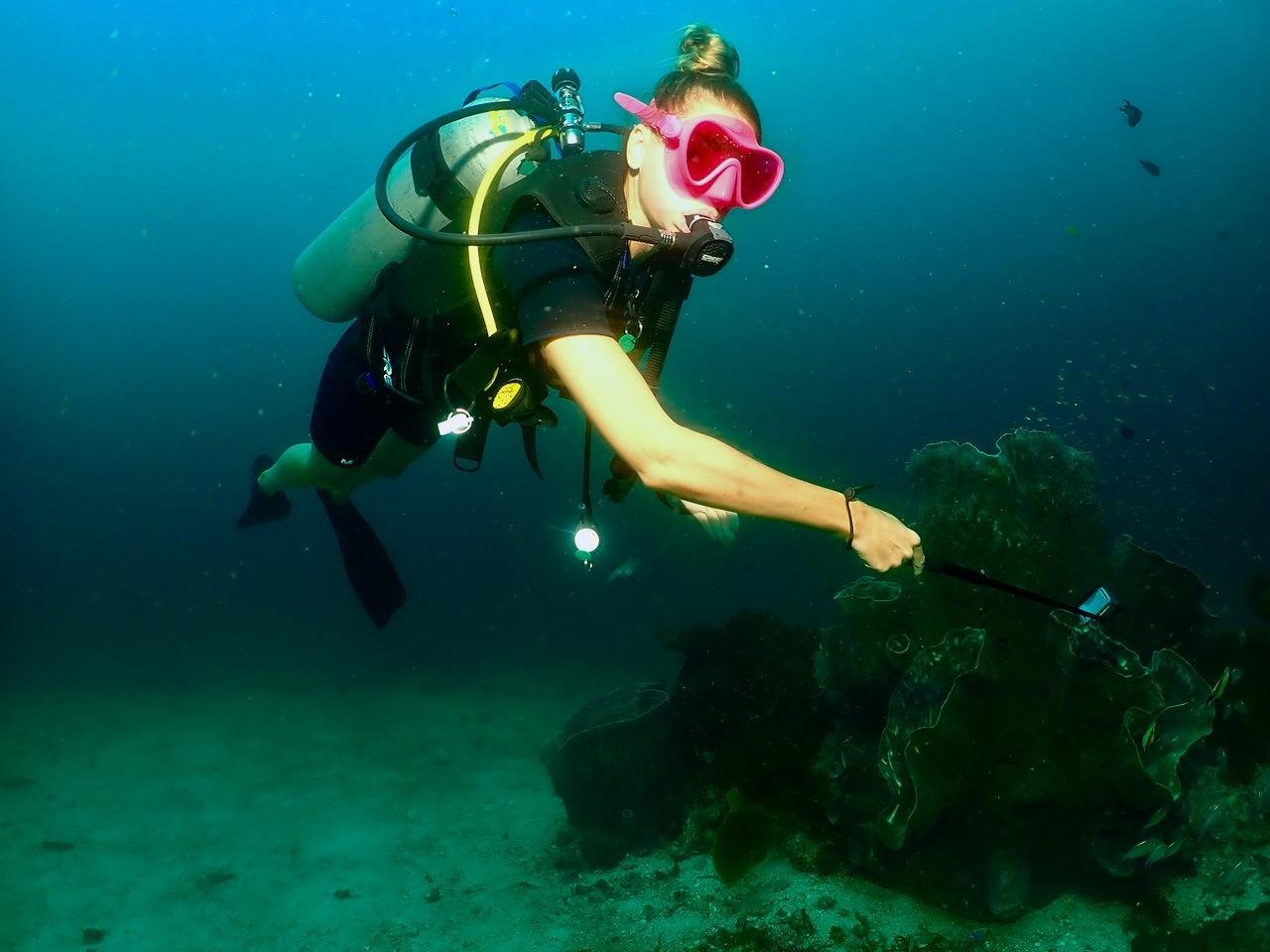 Phuket: Koh Phi Phi & Shark Point 3-Dive Scuba Adventure