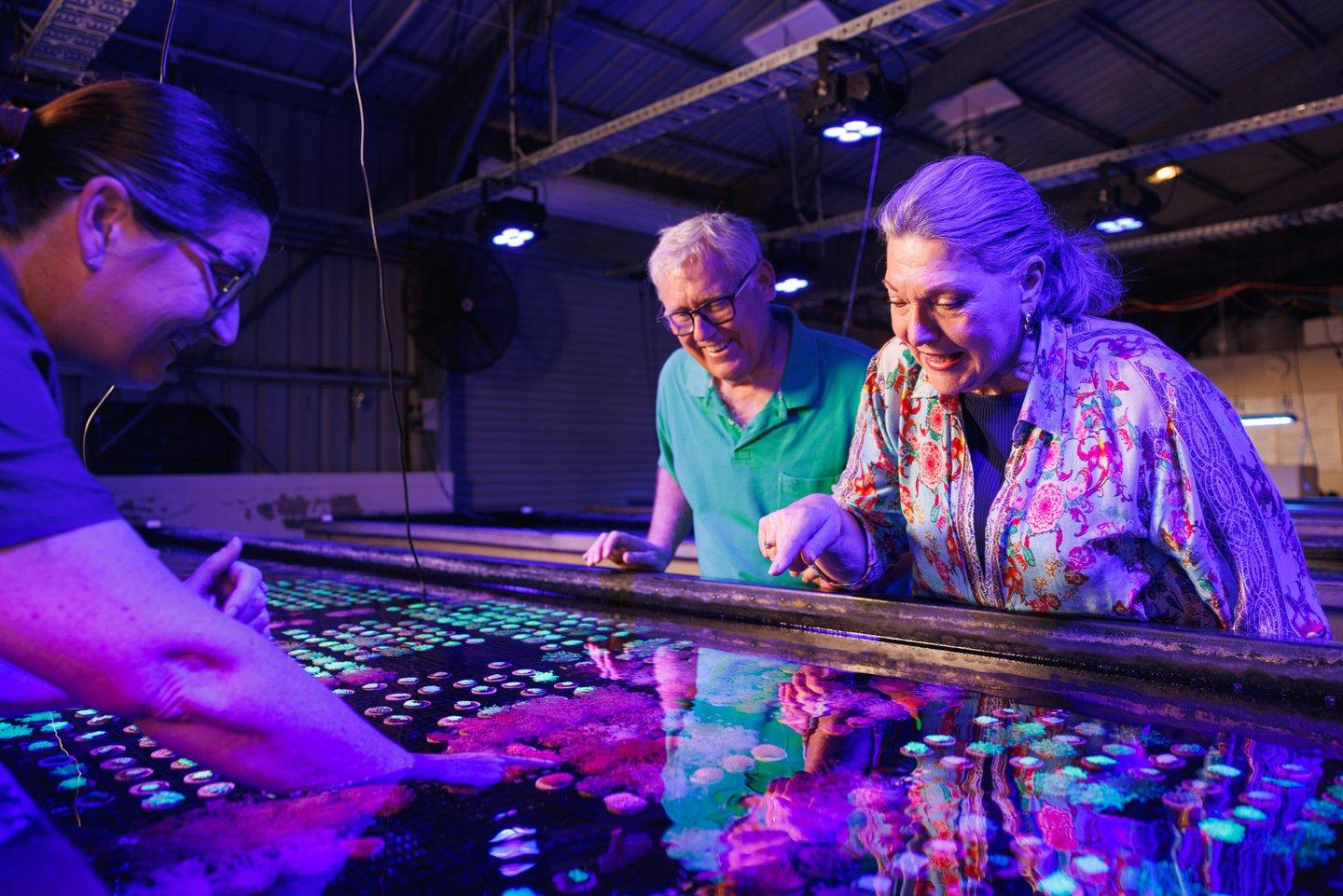 Monsoon Aquatics Coral Farm Behind-the-Scenes Tour