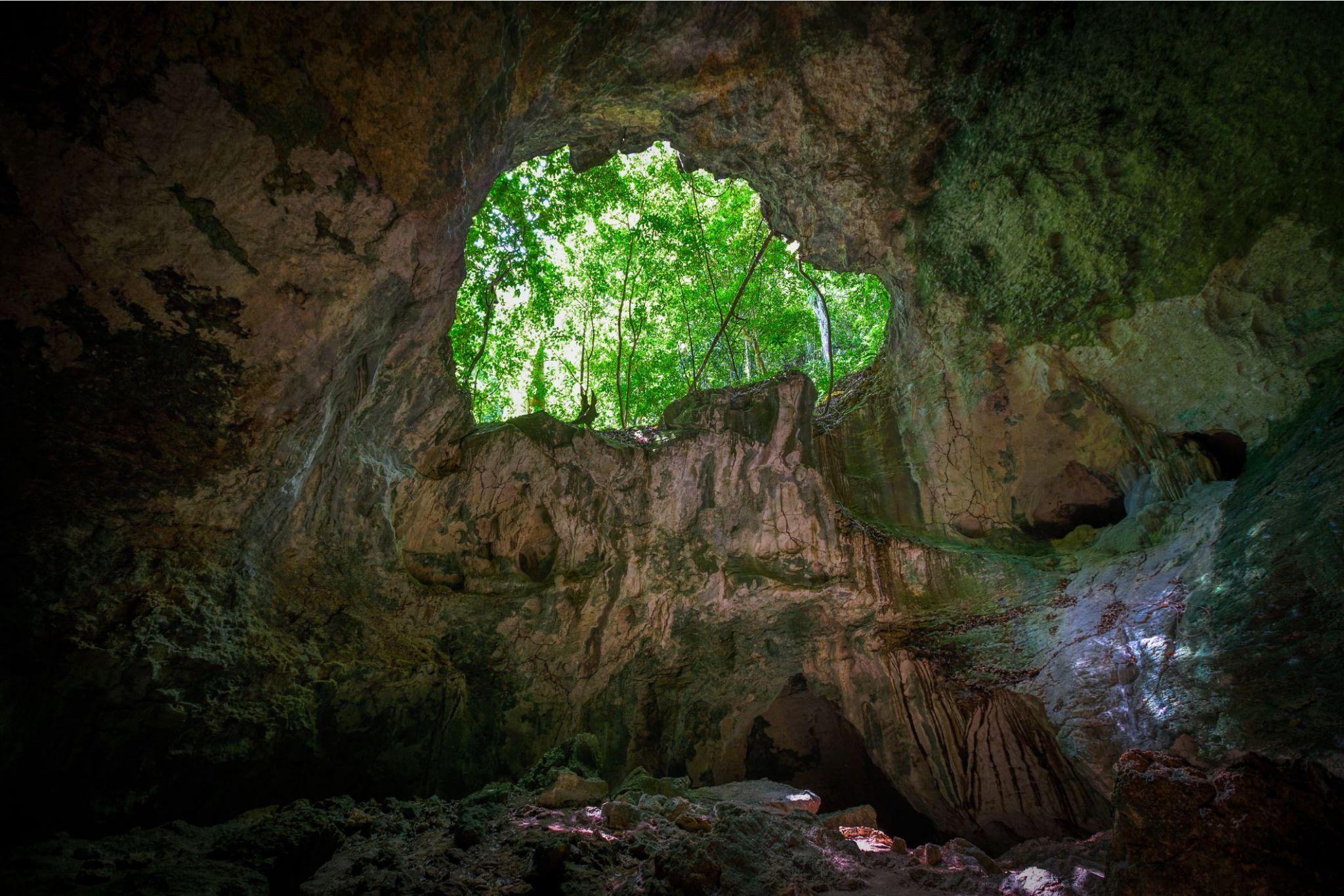 Dominican Republic 3-in-1: Los Haitises, Yanigua Falls & Montaña Redonda