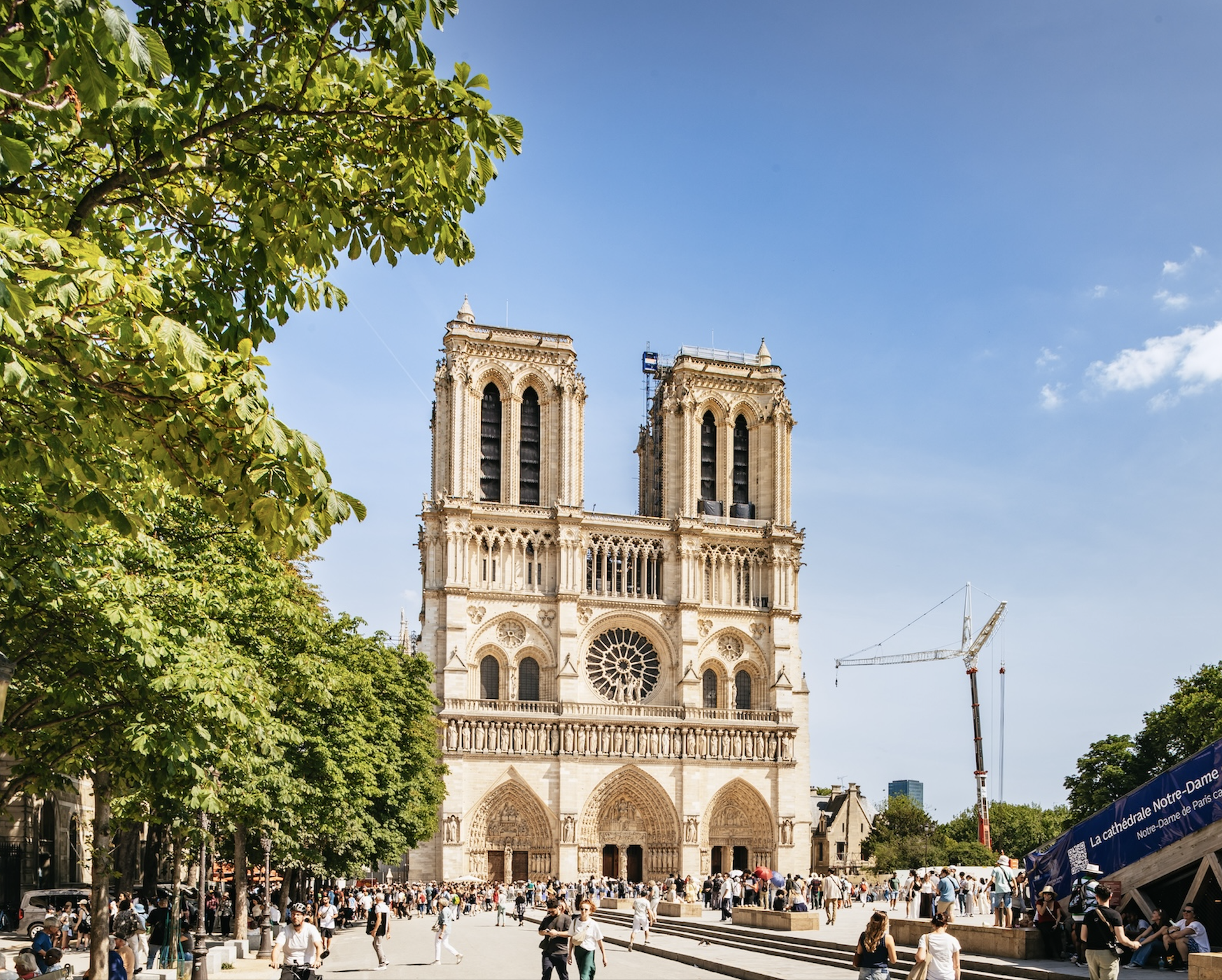 Notre-Dame Cathedral Guided Tour with Reserved Entry