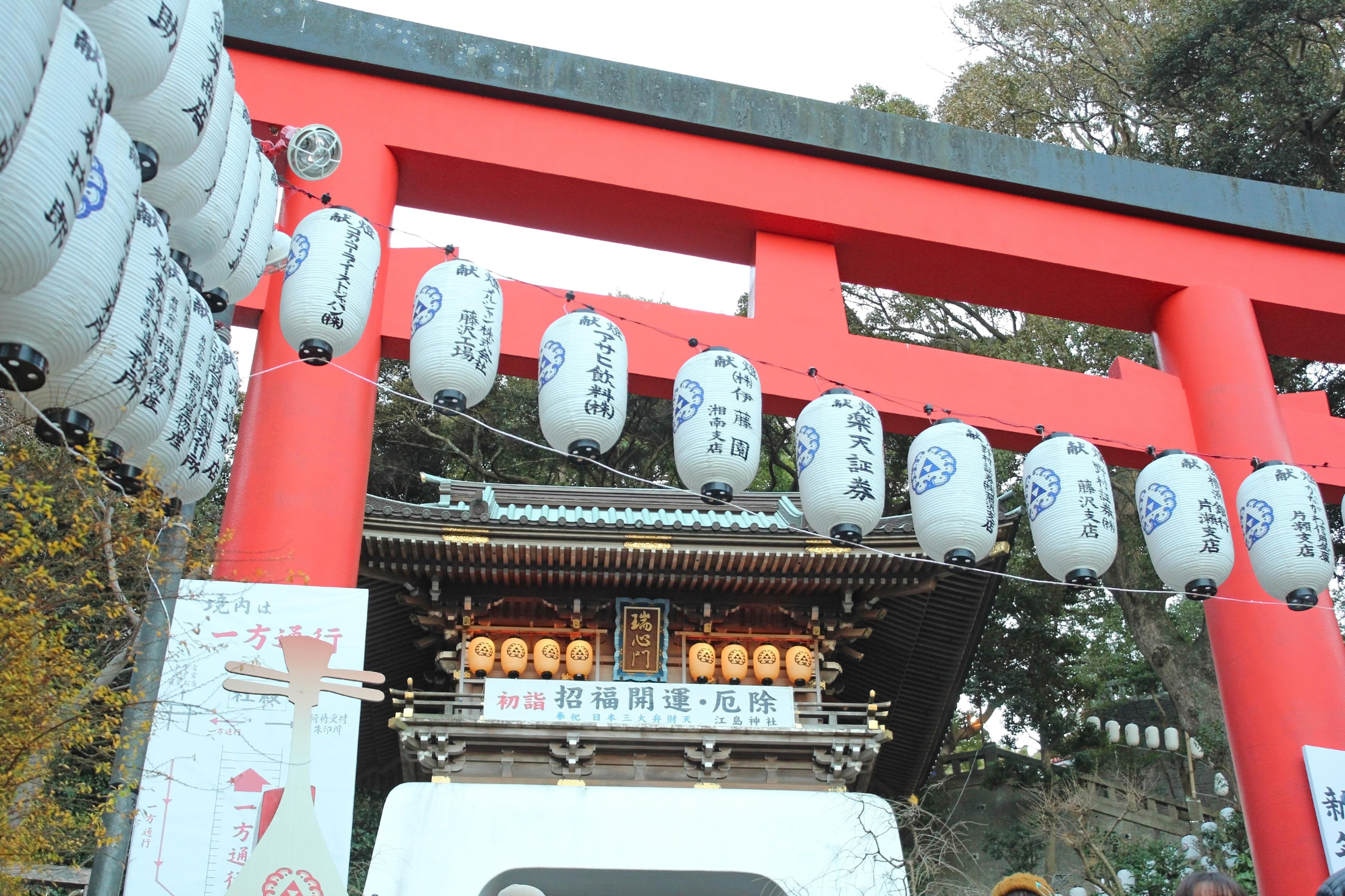 Tokyo Day Trip: Hakone Ropeway, Owakudani & Enoshima Sea-Fuji View